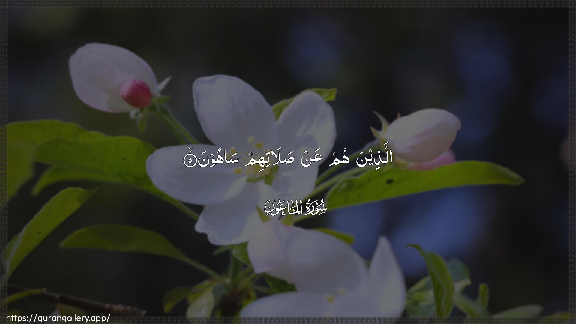 Surah Al-Maa"un Ayah 5 of 107 HD Wallpaper: Download Beautiful horizontal Quran Verse Image | Allatheena hum AAan salatihimsahoon