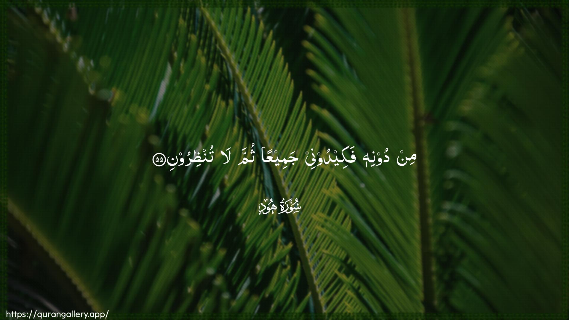 Surah Hud Ayah 55 of 11 HD Wallpaper: Download Beautiful horizontal Quran Verse Image | Min doonihi fakeedoonee jameeAAan thumma latunthiroon