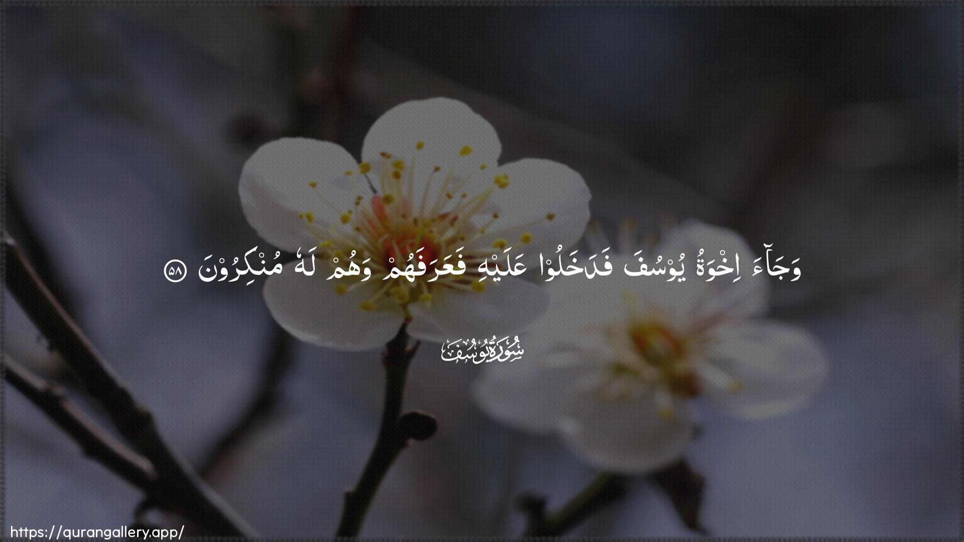 Surah Yusuf Ayah 58 of 12 HD Wallpaper: Download Beautiful horizontal Quran Verse Image | Wajaa ikhwatu yoosufa fadakhalooAAalayhi faAAarafahum wahum lahu munkiroon