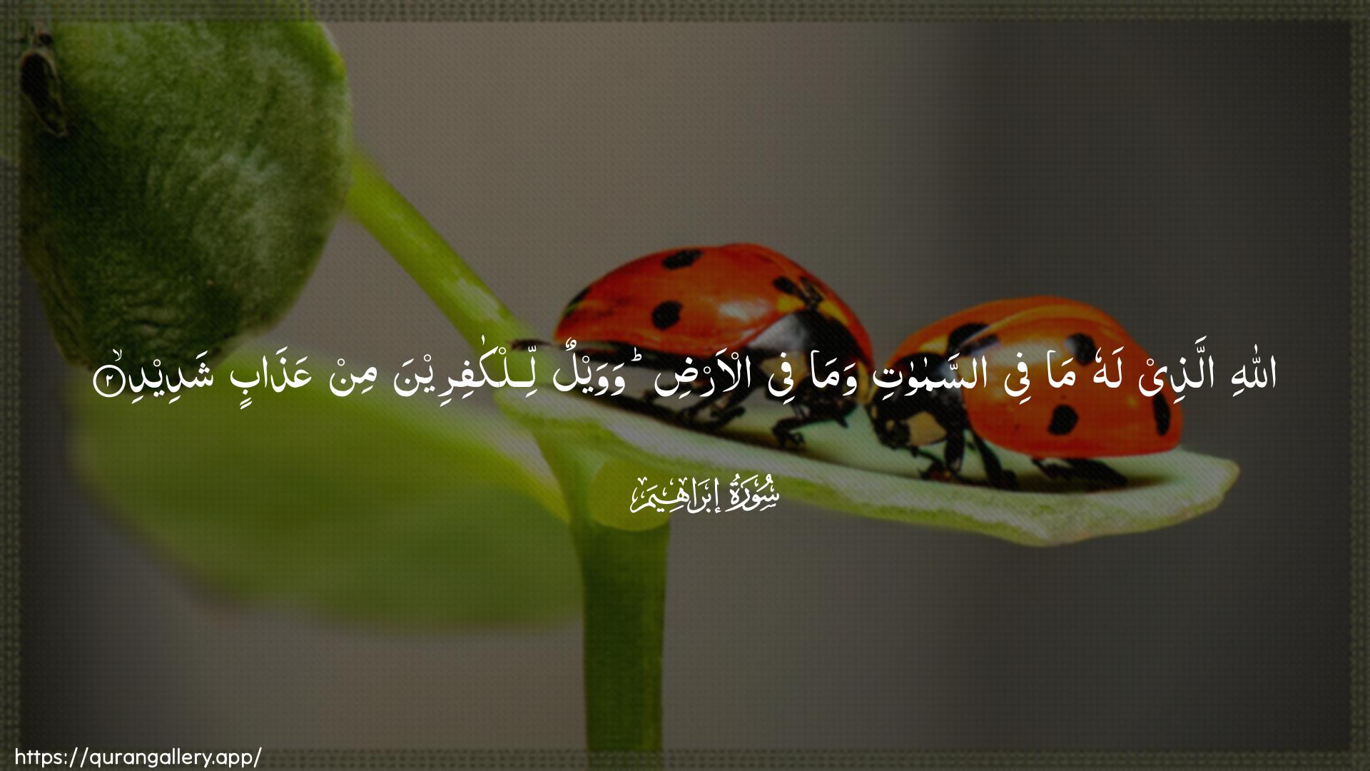 Surah Ibrahim Ayah 2 of 14 HD Wallpaper: Download Beautiful horizontal Quran Verse Image | Allahi allathee lahu mafee assamawati wama fee al-ardiwawaylun lilkafireena min AAathabin shadeed