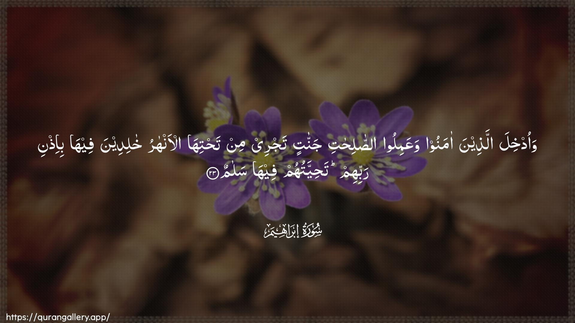 Surah Ibrahim Ayah 23 of 14 HD Wallpaper: Download Beautiful horizontal Quran Verse Image | Waodkhila allatheena amanoowaAAamiloo assalihati jannatintajree min tahtiha al-anharu khalideenafeeha bi-ithni rabbihim tahiyyatuhum feehasalam