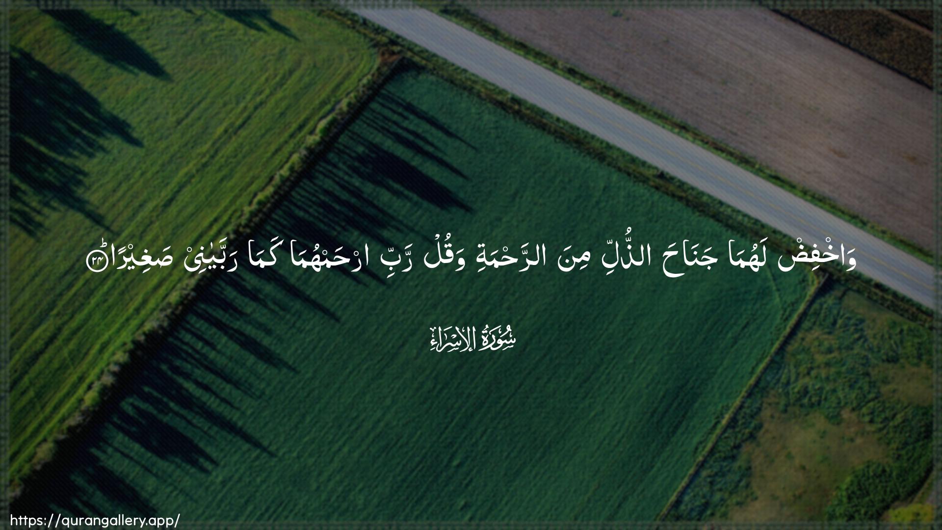 Surah Al-Israa Ayah 24 of 17 HD Wallpaper: Download Beautiful horizontal Quran Verse Image | Wakhfid lahuma janahaaththulli mina arrahmati waqulrabbi irhamhuma kama rabbayanee sagheera