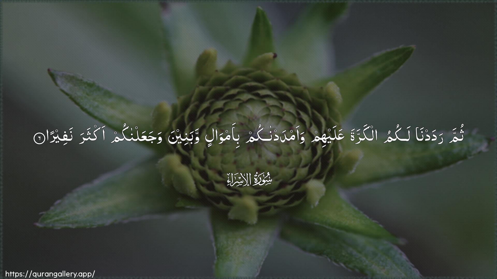 Surah Al-Israa Ayah 6 of 17 HD Wallpaper: Download Beautiful horizontal Quran Verse Image | Thumma radadna lakumu alkarrataAAalayhim waamdadnakum bi-amwalin wabaneenawajaAAalnakum akthara nafeera