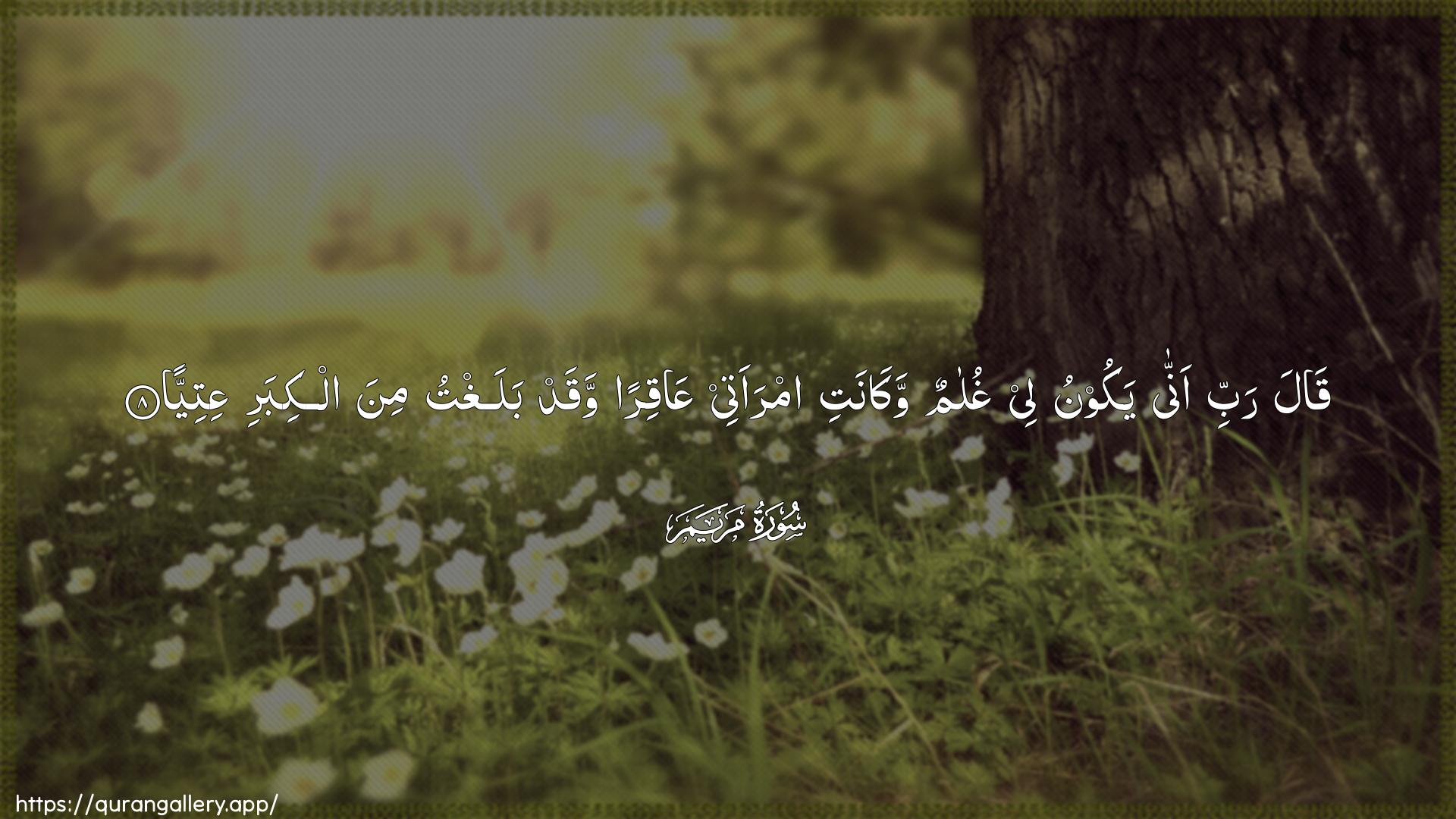 Surah Maryam Ayah 8 of 19 HD Wallpaper: Download Beautiful horizontal Quran Verse Image | Qala rabbi anna yakoonu leeghulamun wakanati imraatee AAaqiran waqadbalaghtu mina alkibari AAitiyya