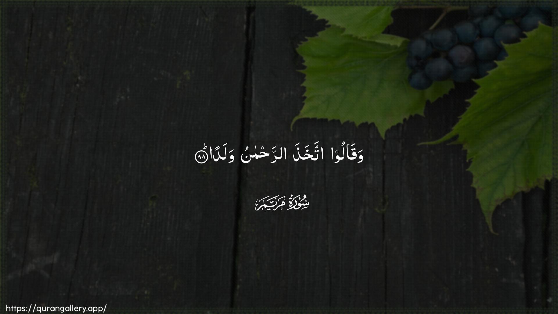 Surah Maryam Ayah 88 of 19 HD Wallpaper: Download Beautiful horizontal Quran Verse Image | Waqaloo ittakhatha arrahmanuwalada