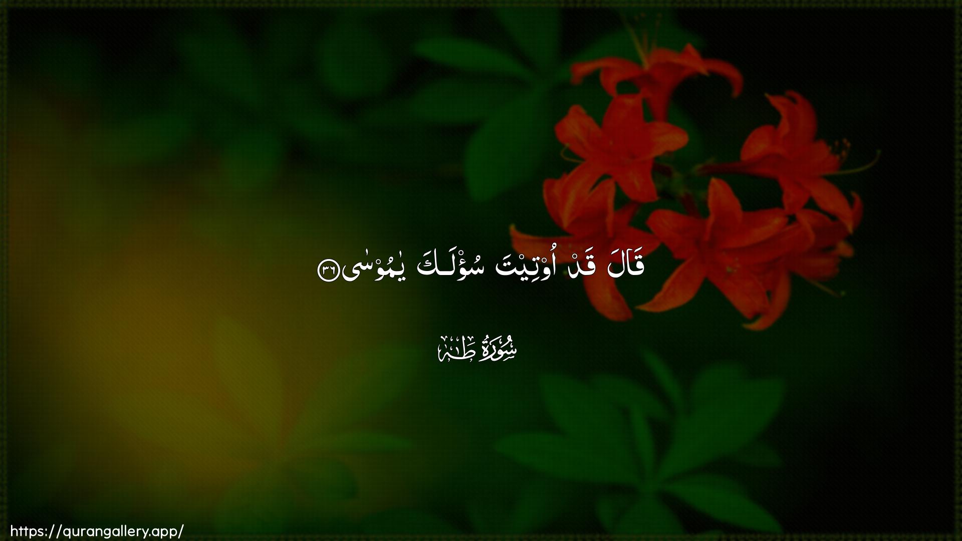 Surah Taa-Haa Ayah 36 of 20 HD Wallpaper: Download Beautiful horizontal Quran Verse Image | Qala qad ooteeta su/laka yamoosa