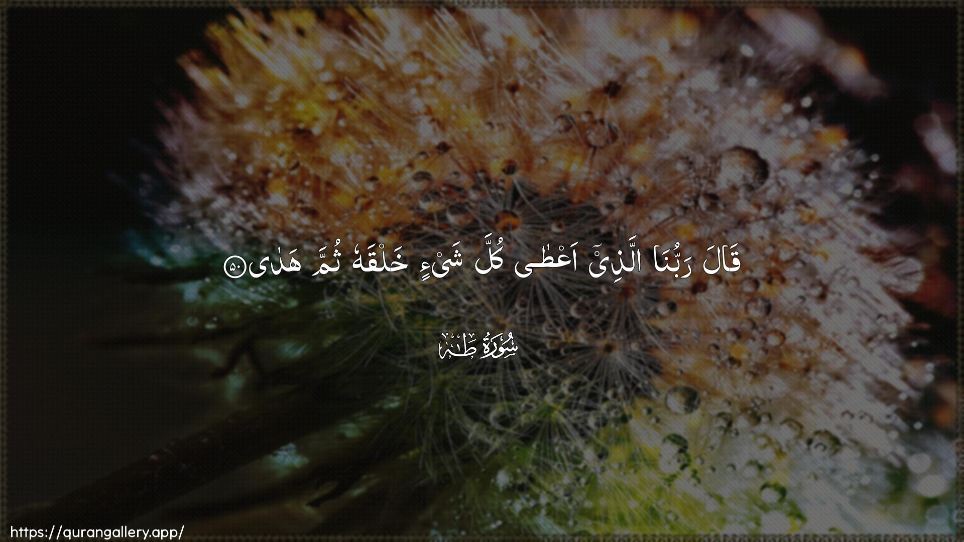 Surah Taa-Haa Ayah 50 of 20 HD Wallpaper: Download Beautiful horizontal Quran Verse Image | Qala rabbuna allatheeaAAta kulla shay-in khalqahu thumma hada