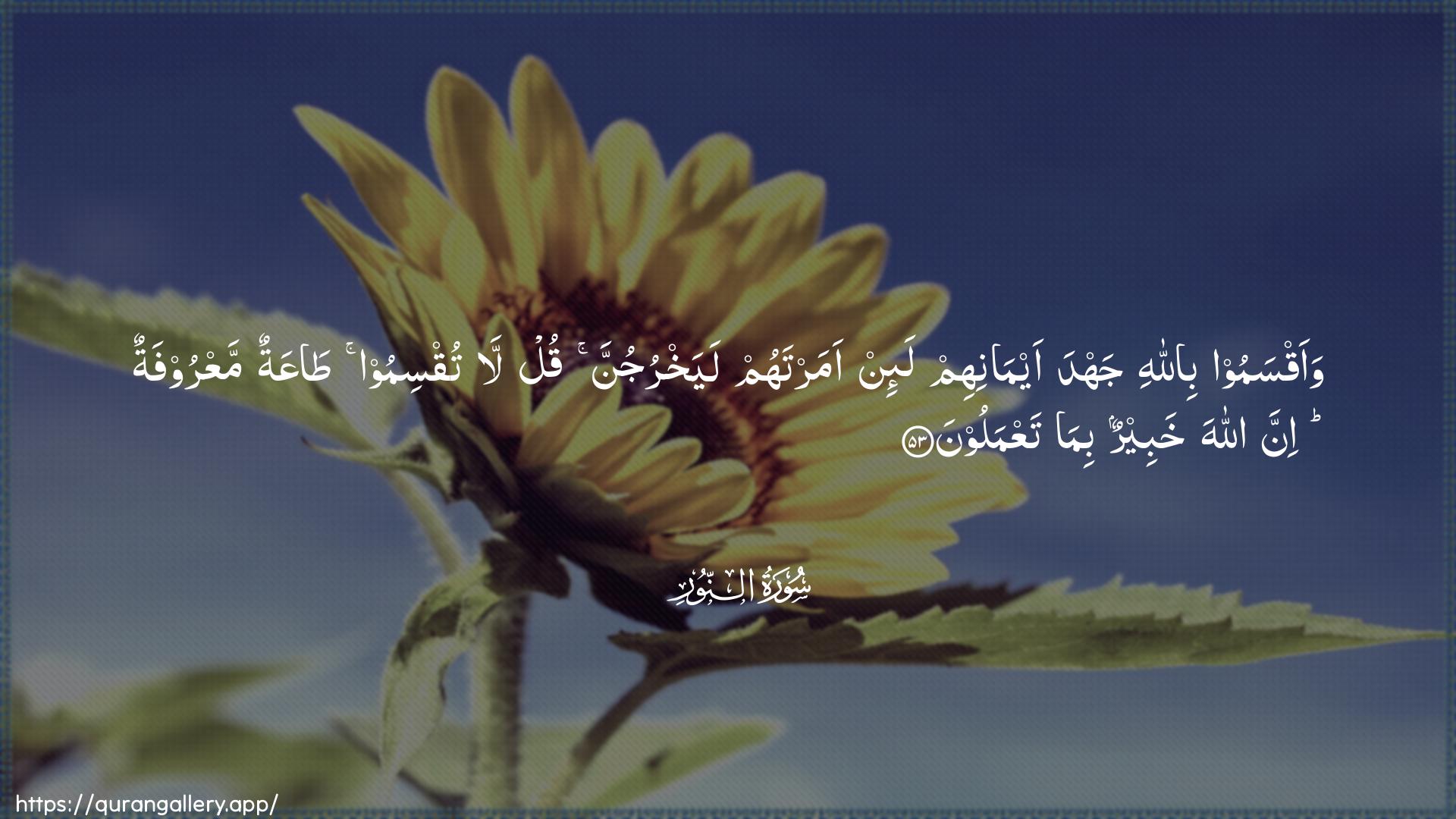 Surah An-Noor Ayah 53 of 24 HD Wallpaper: Download Beautiful horizontal Quran Verse Image | Waaqsamoo billahi jahda aymanihimla-in amartahum layakhrujunna qul la tuqsimoo taAAatunmaAAroofatun inna Allaha khabeerun bima taAAmaloon