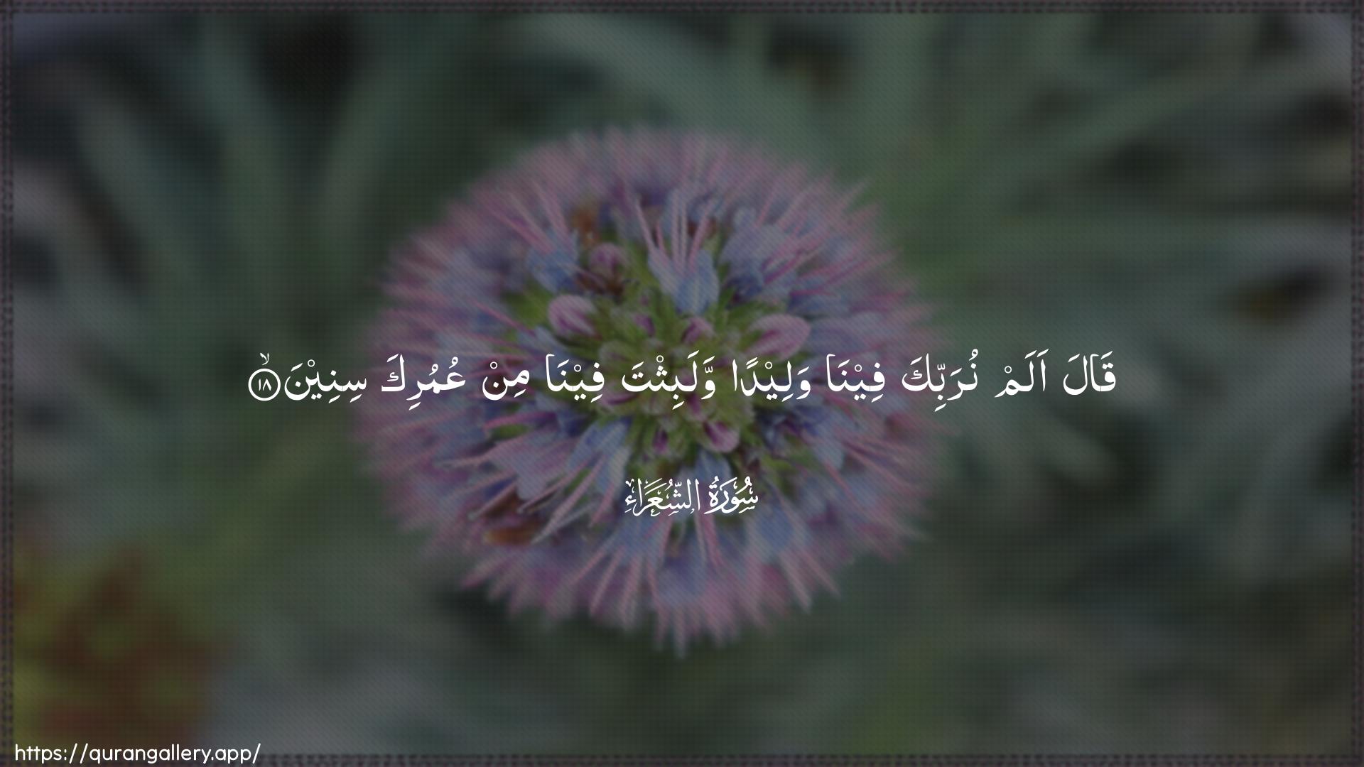 Surah Ash-Shu"araa Ayah 18 of 26 HD Wallpaper: Download Beautiful horizontal Quran Verse Image | Qala alam nurabbika feenawaleedan walabithta feena min AAumurika sineen