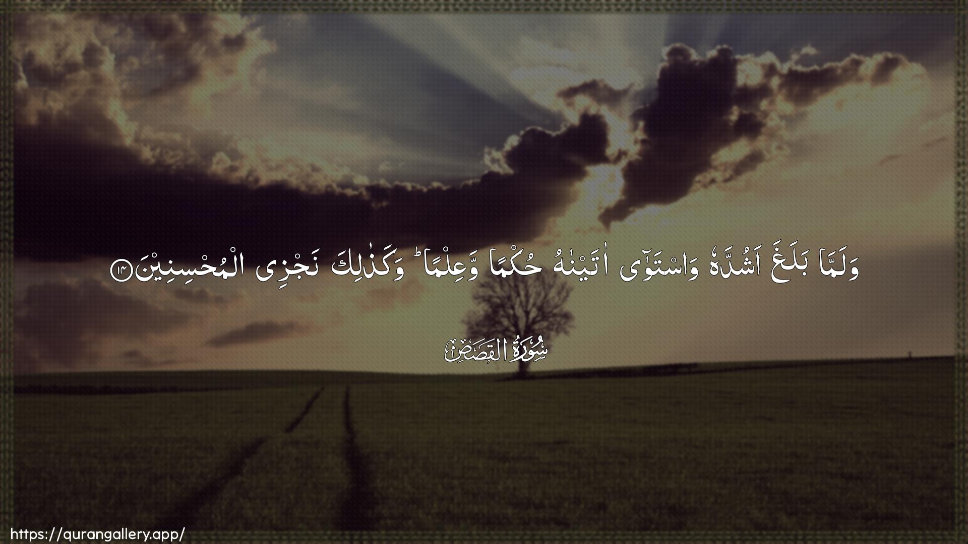 Surah Al-Qasas Ayah 14 of 28 HD Wallpaper: Download Beautiful horizontal Quran Verse Image | Walamma balagha ashuddahu wastawaataynahu hukman waAAilman wakathalikanajzee almuhsineen