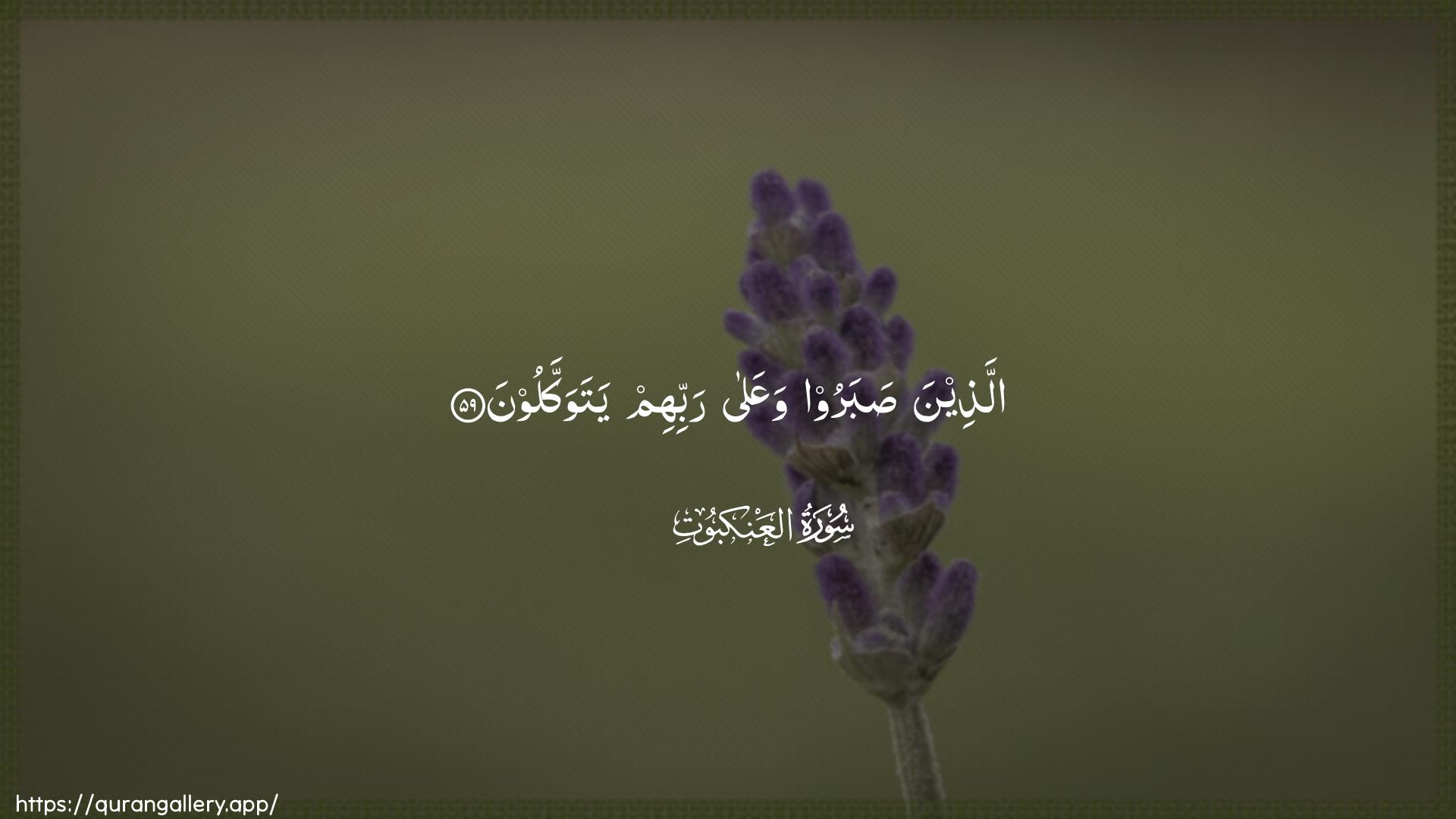 Surah Al-Ankaboot Ayah 59 of 29 HD Wallpaper: Download Beautiful horizontal Quran Verse Image | Allatheena sabaroo waAAalarabbihim yatawakkaloon