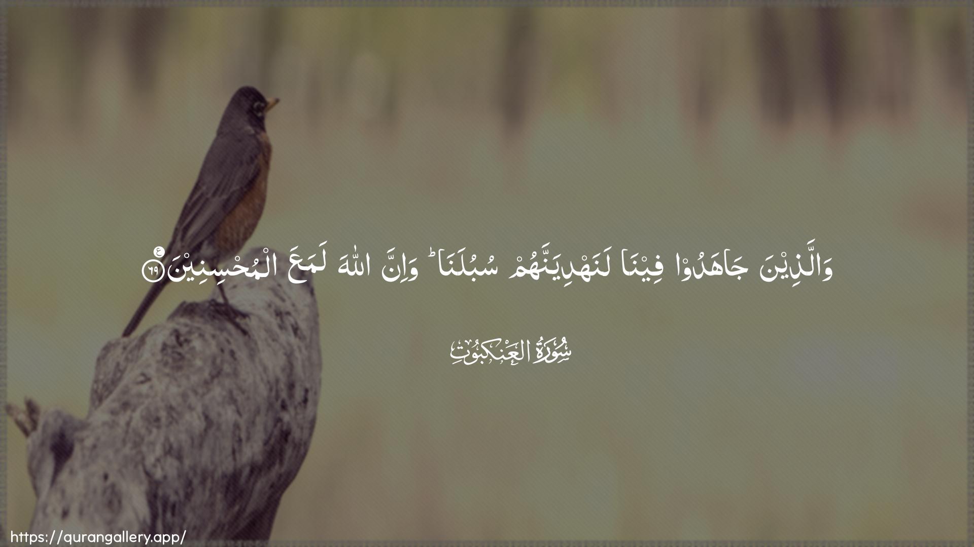 Surah Al-Ankaboot Ayah 69 of 29 HD Wallpaper: Download Beautiful horizontal Quran Verse Image | Wallatheena jahadoofeena lanahdiyannahum subulana wa-inna AllahalamaAAa almuhsineen