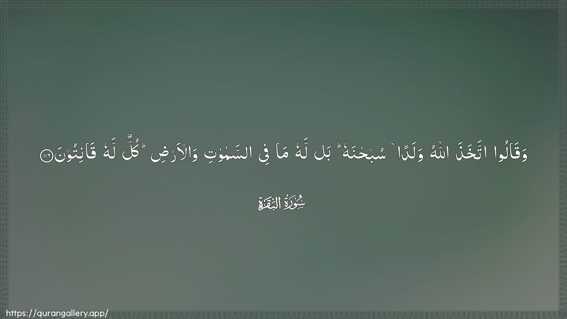 Surah Al-Baqara Ayah 116 of 2 HD Wallpaper: Download Beautiful horizontal Quran Verse Image | Waqaloo itakhatha Allahuwaladan subhanahu bal lahu ma fee assamawatiwal-ardi kullun lahu qanitoon