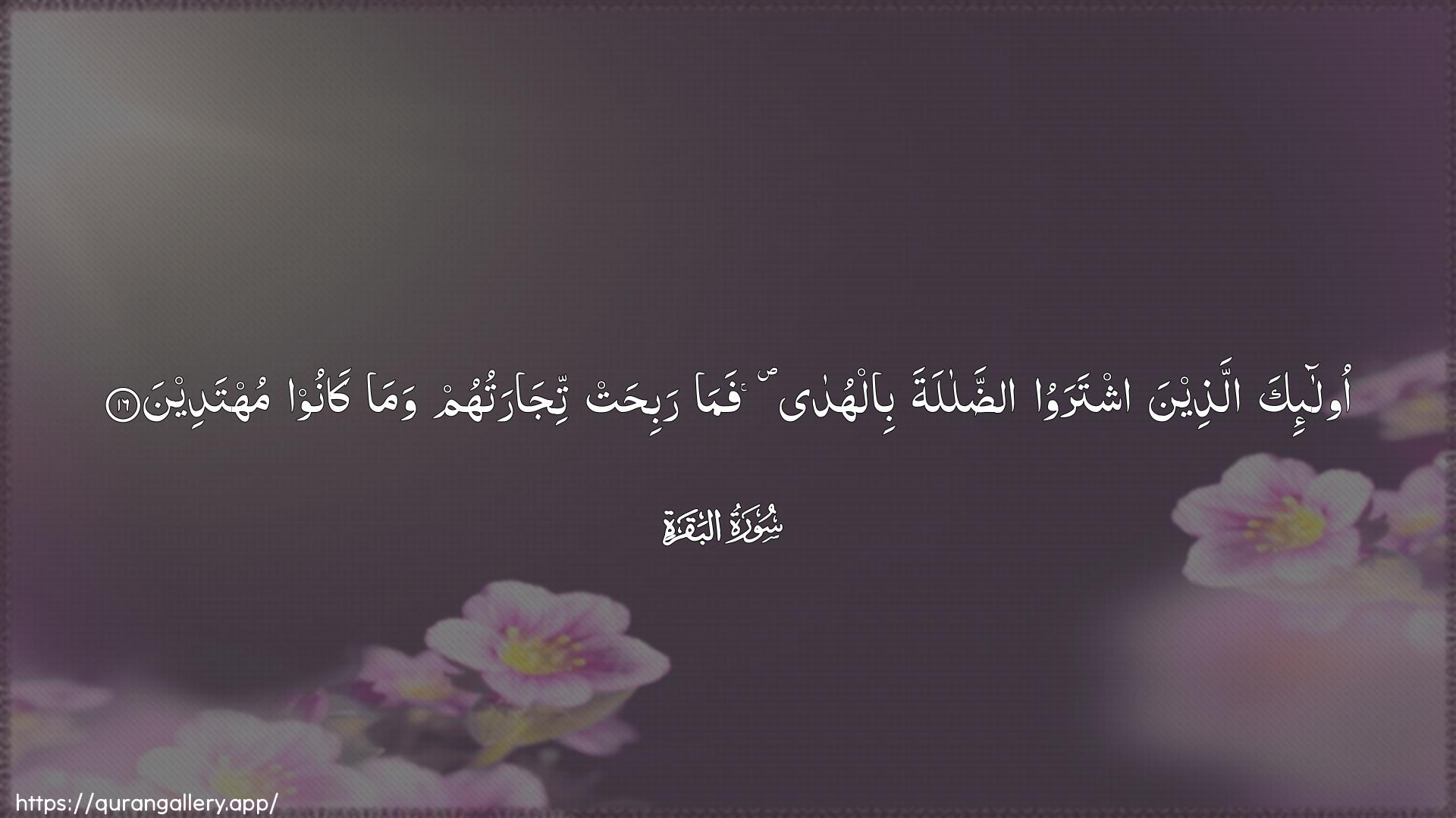 Surah Al-Baqara Ayah 16 of 2 HD Wallpaper: Download Beautiful horizontal Quran Verse Image | Ola-ika allatheena ishtarawooaddalalata bilhuda famarabihat tijaratuhum wama kanoomuhtadeen