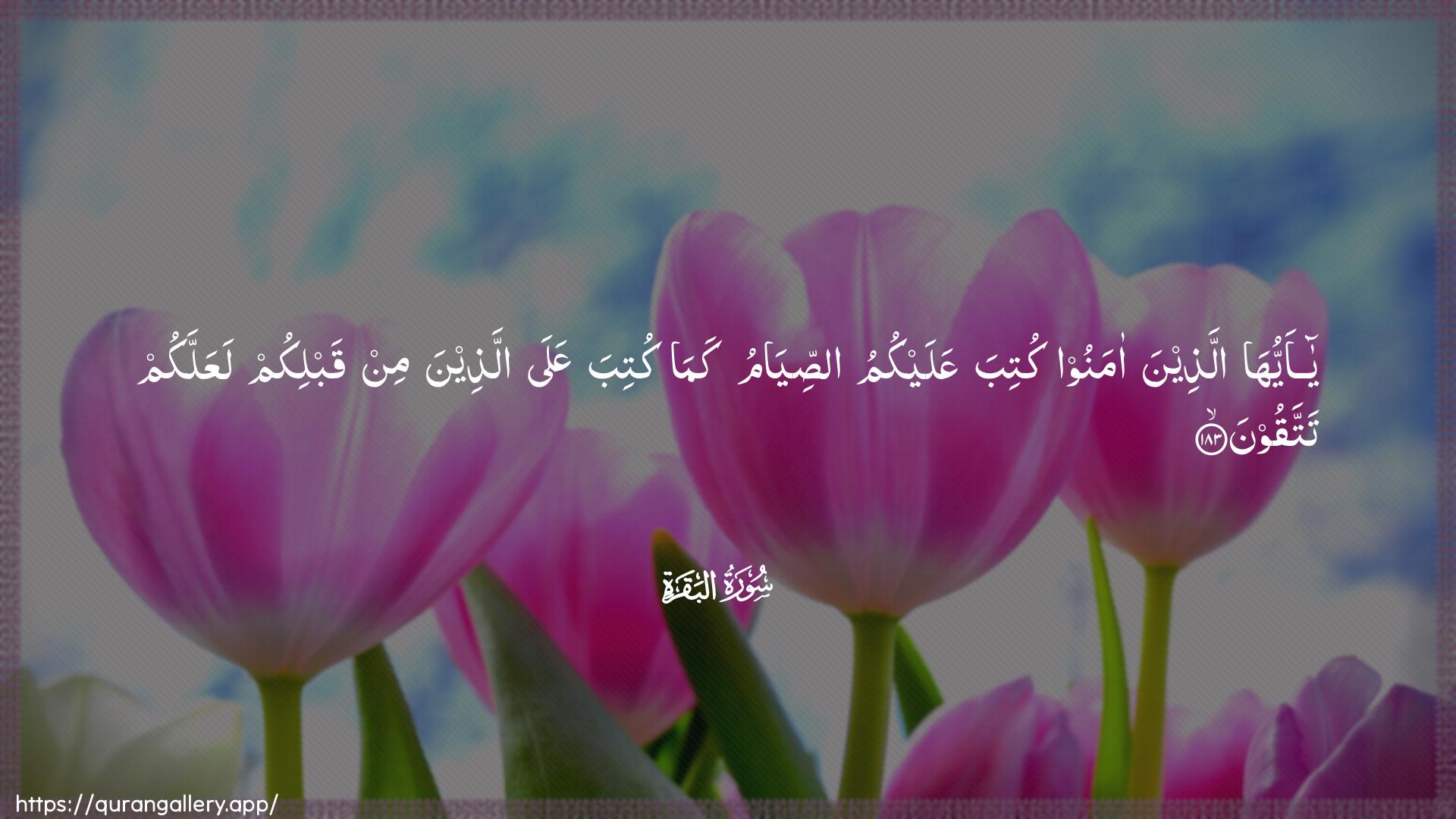 Surah Al-Baqara Ayah 183 of 2 HD Wallpaper: Download Beautiful horizontal Quran Verse Image | Ya ayyuha allatheena amanookutiba AAalaykumu assiyamu kamakutiba AAala allatheena min qablikum laAAallakumtattaqoon