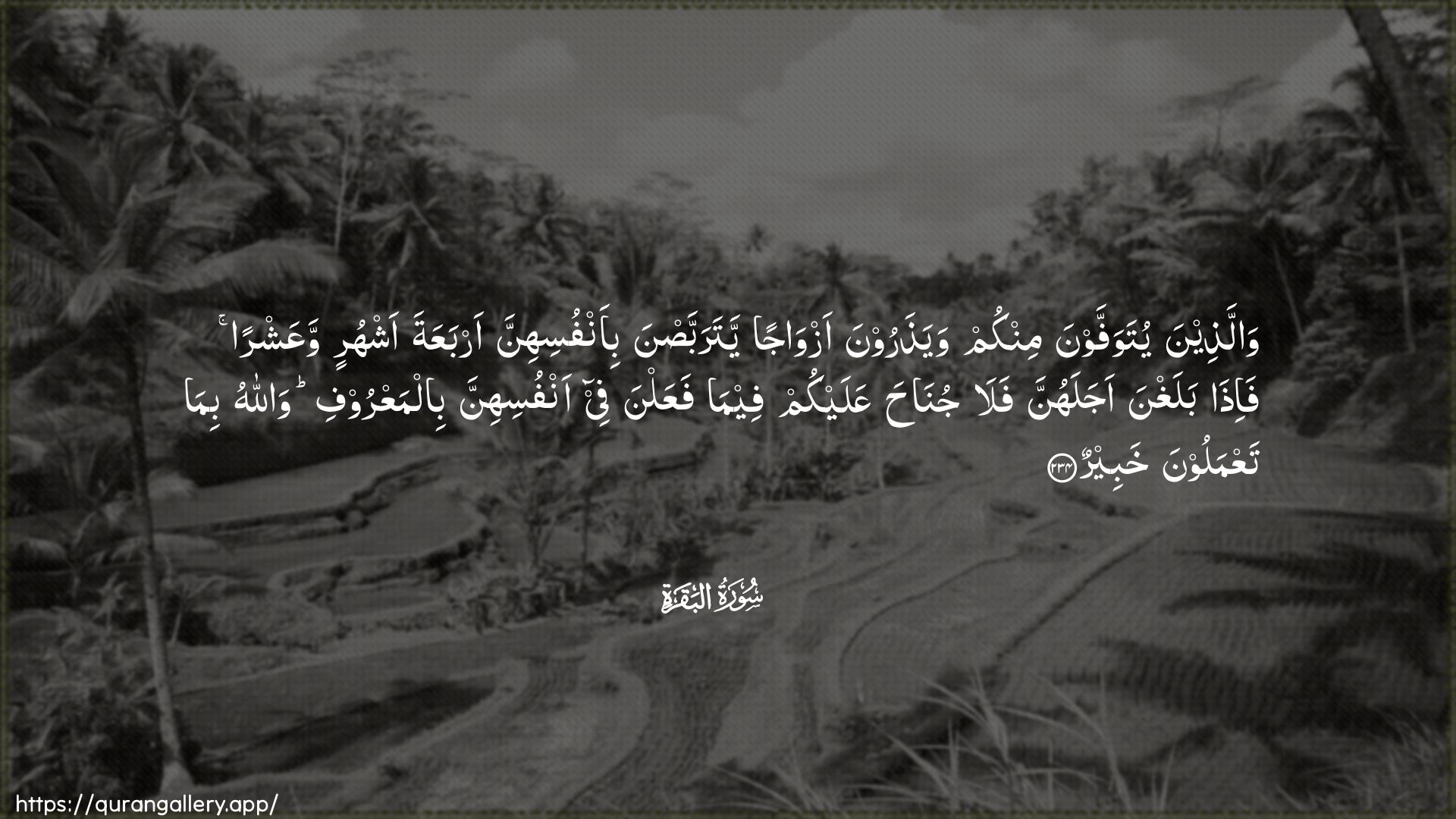 Surah Al-Baqara Ayah 234 of 2 HD Wallpaper: Download Beautiful horizontal Quran Verse Image | Wallatheena yutawaffawnaminkum wayatharoona azwajan yatarabbasnabi-anfusihinna arbaAAata ashhurin waAAashran fa-ithabalaghna ajalahunna fala junaha AAalaykum feemafaAAalna fee anfusihinna bilmaAAroofi wallahubima taAAmaloona khabeer