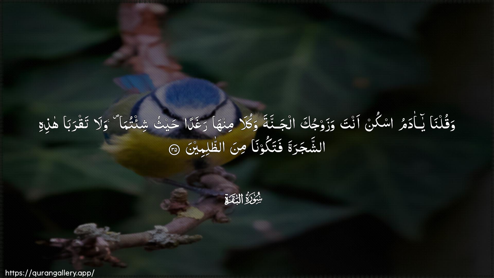 Surah Al-Baqara Ayah 35 of 2 HD Wallpaper: Download Beautiful horizontal Quran Verse Image | Waqulna ya adamu oskunanta wazawjuka aljannata wakula minha raghadan haythushi/tuma wala taqraba hathihi ashshajaratafatakoona mina aththalimeen