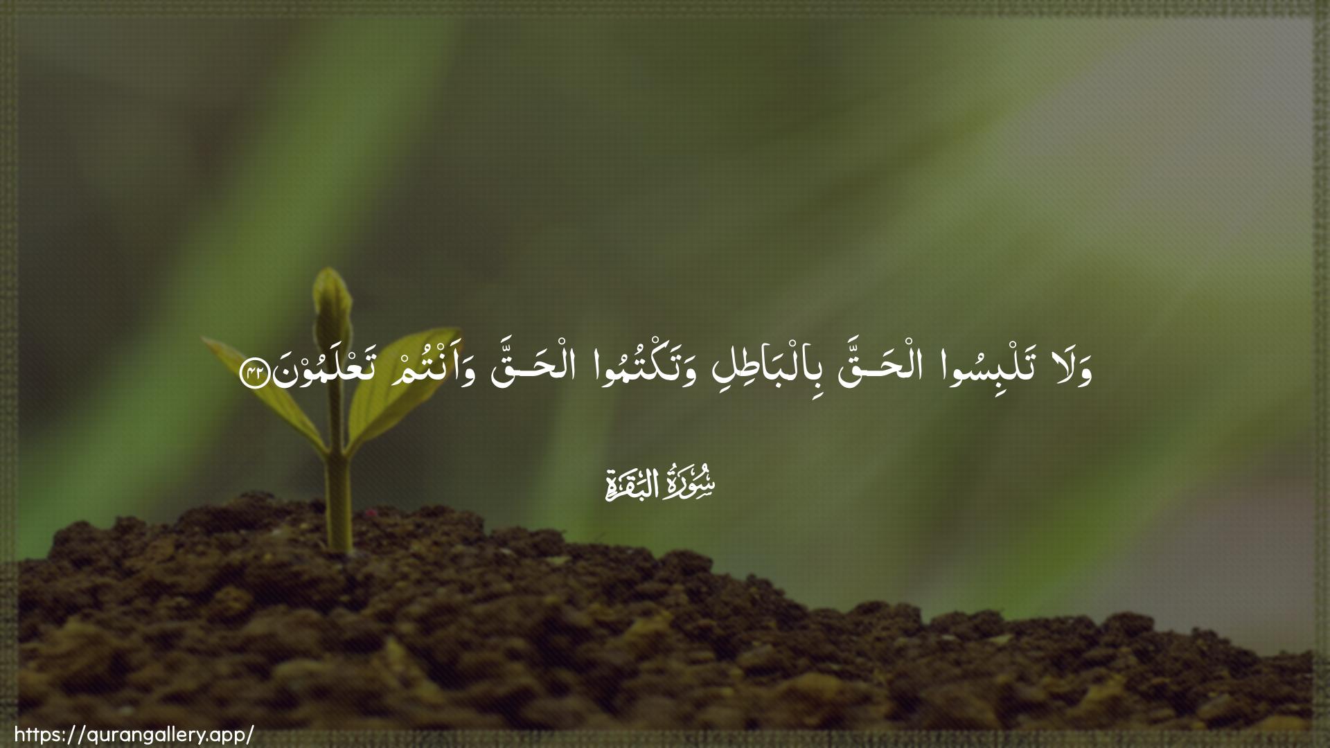 Surah Al-Baqara Ayah 42 of 2 HD Wallpaper: Download Beautiful horizontal Quran Verse Image | Wala talbisoo alhaqqa bilbatiliwataktumoo alhaqqa waantum taAAlamoon