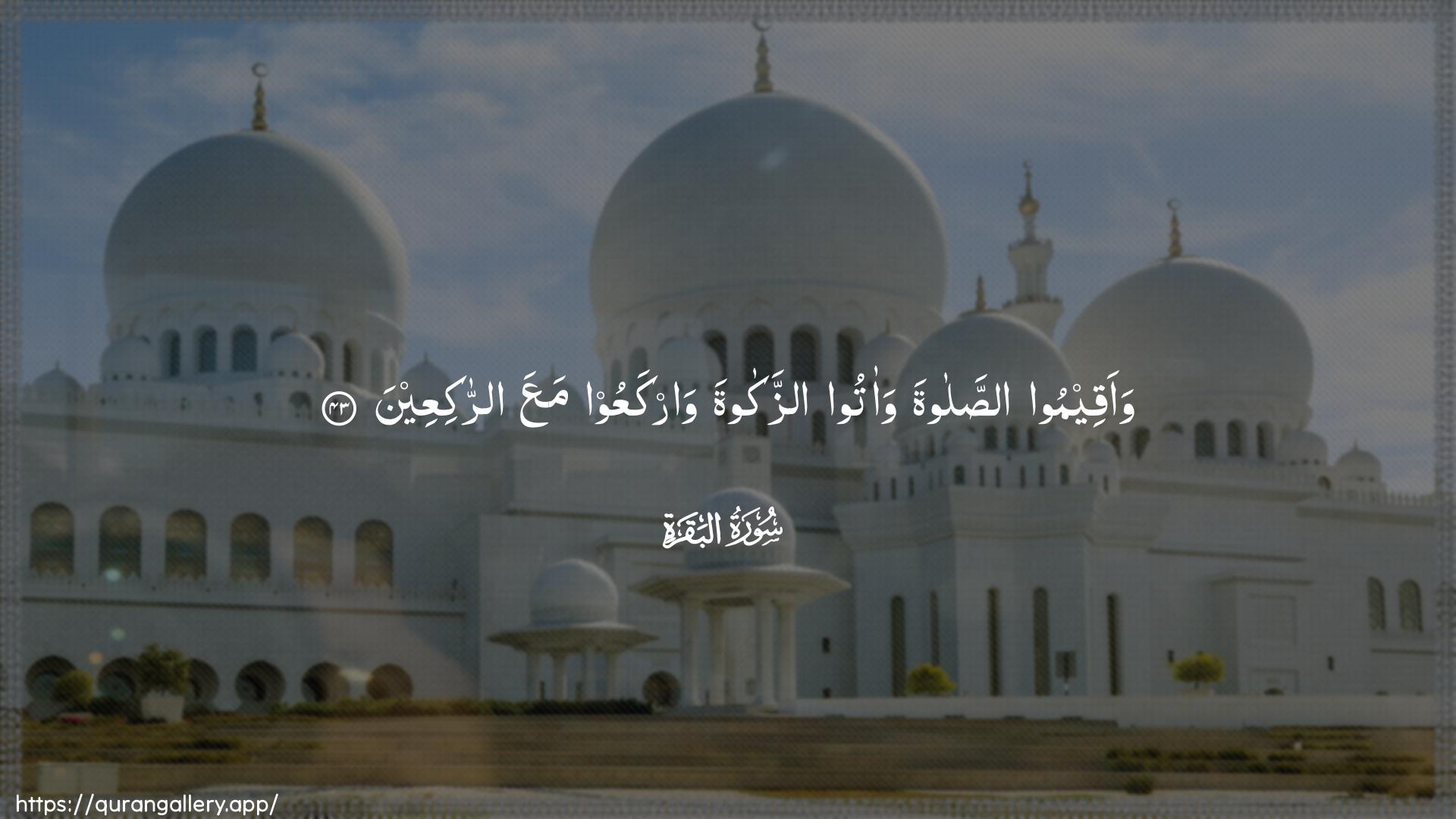 Surah Al-Baqara Ayah 43 of 2 HD Wallpaper: Download Beautiful horizontal Quran Verse Image | Waaqeemoo assalata waatooazzakata warkaAAoo maAAa arrakiAAeen