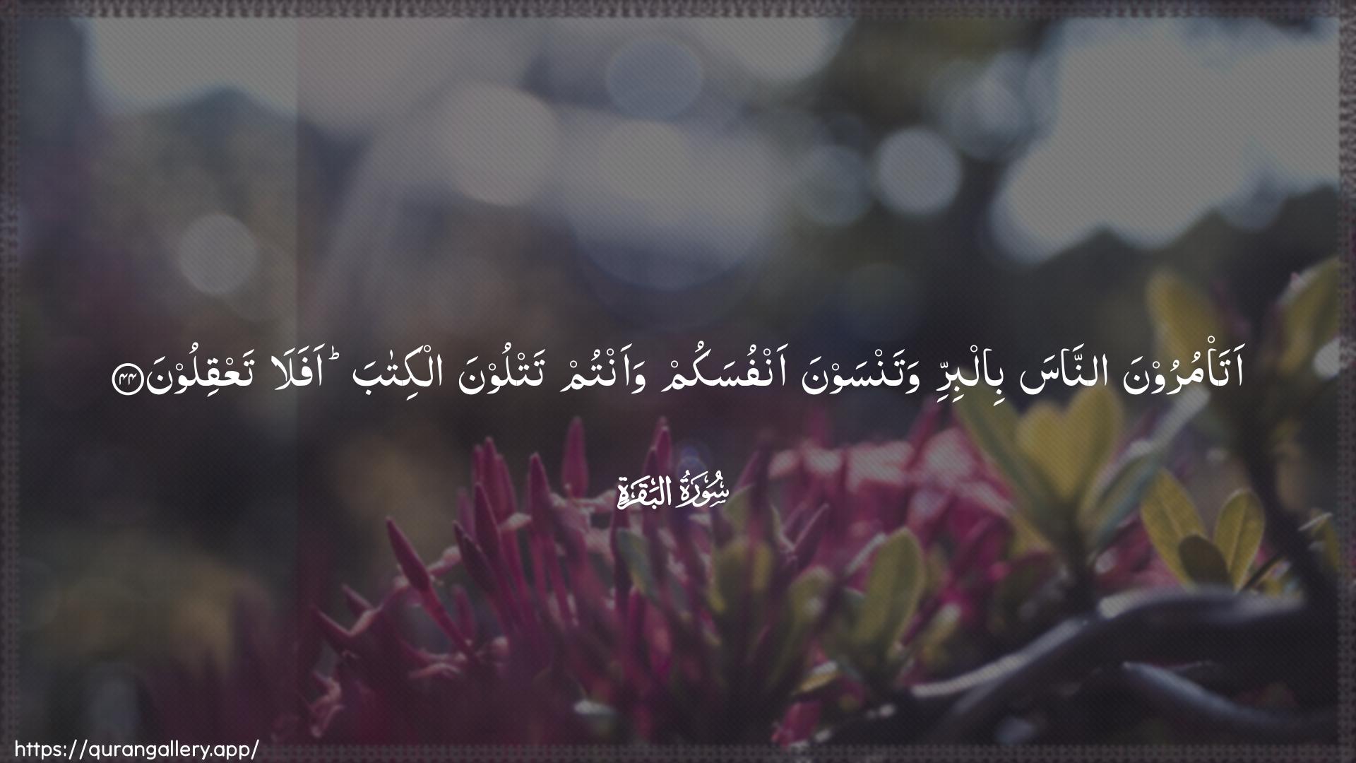 Surah Al-Baqara Ayah 44 of 2 HD Wallpaper: Download Beautiful horizontal Quran Verse Image | Ata/muroona annasa bilbirriwatansawna anfusakum waantum tatloona alkitaba afalataAAqiloon