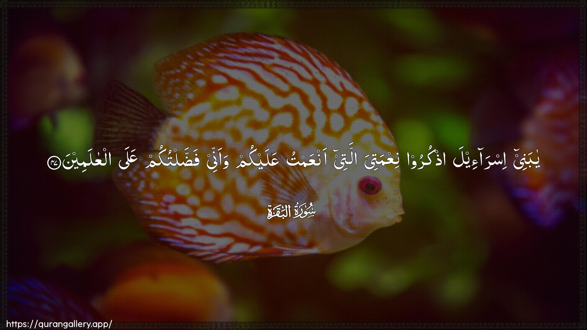 Surah Al-Baqara Ayah 47 of 2 HD Wallpaper: Download Beautiful horizontal Quran Verse Image | Ya banee isra-eela othkurooniAAmatiya allatee anAAamtu AAalaykum waannee faddaltukumAAala alAAalameen