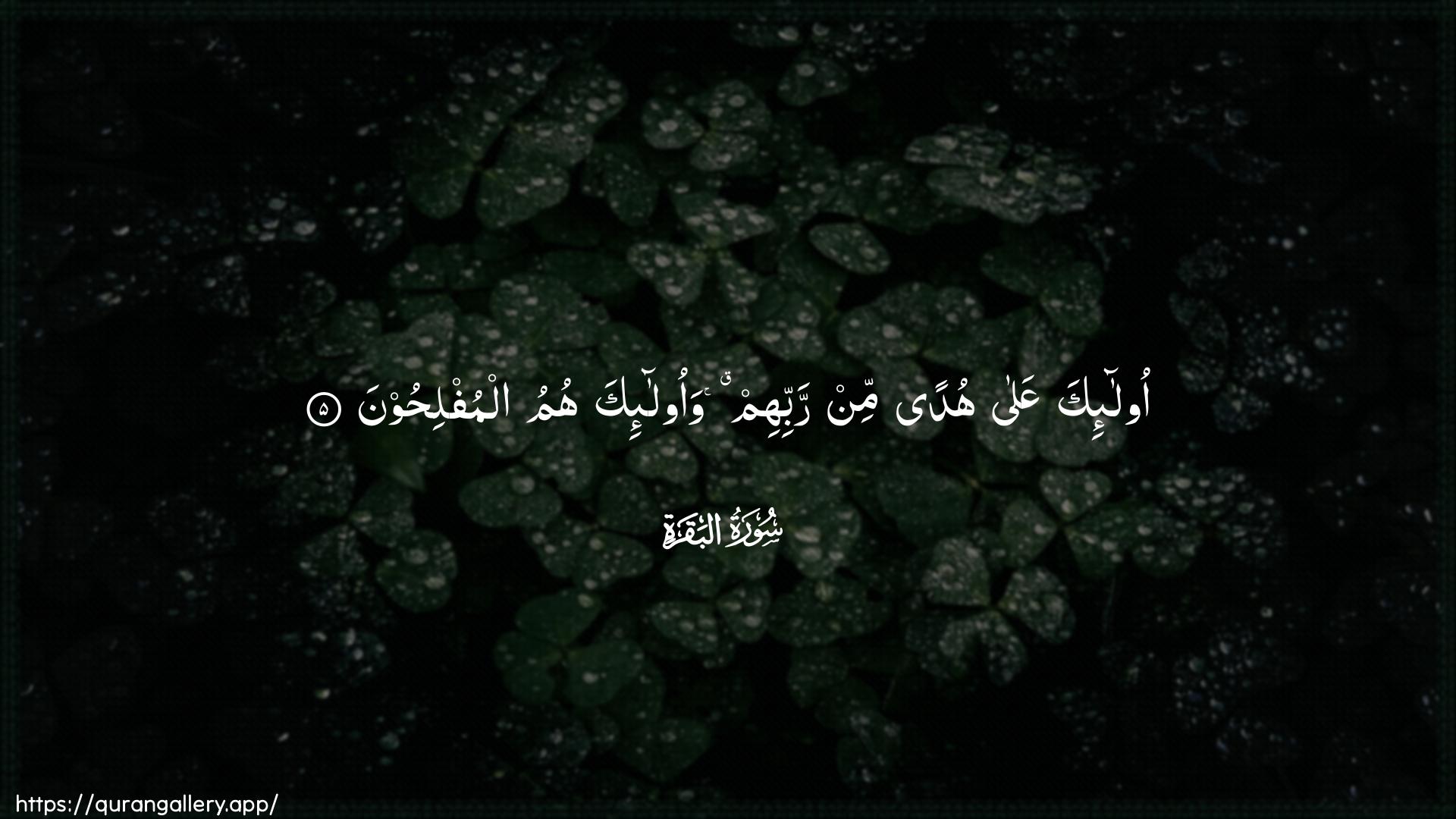 Surah Al-Baqara Ayah 5 of 2 HD Wallpaper: Download Beautiful horizontal Quran Verse Image | Ola-ika AAala hudan minrabbihim waola-ika humu almuflihoon