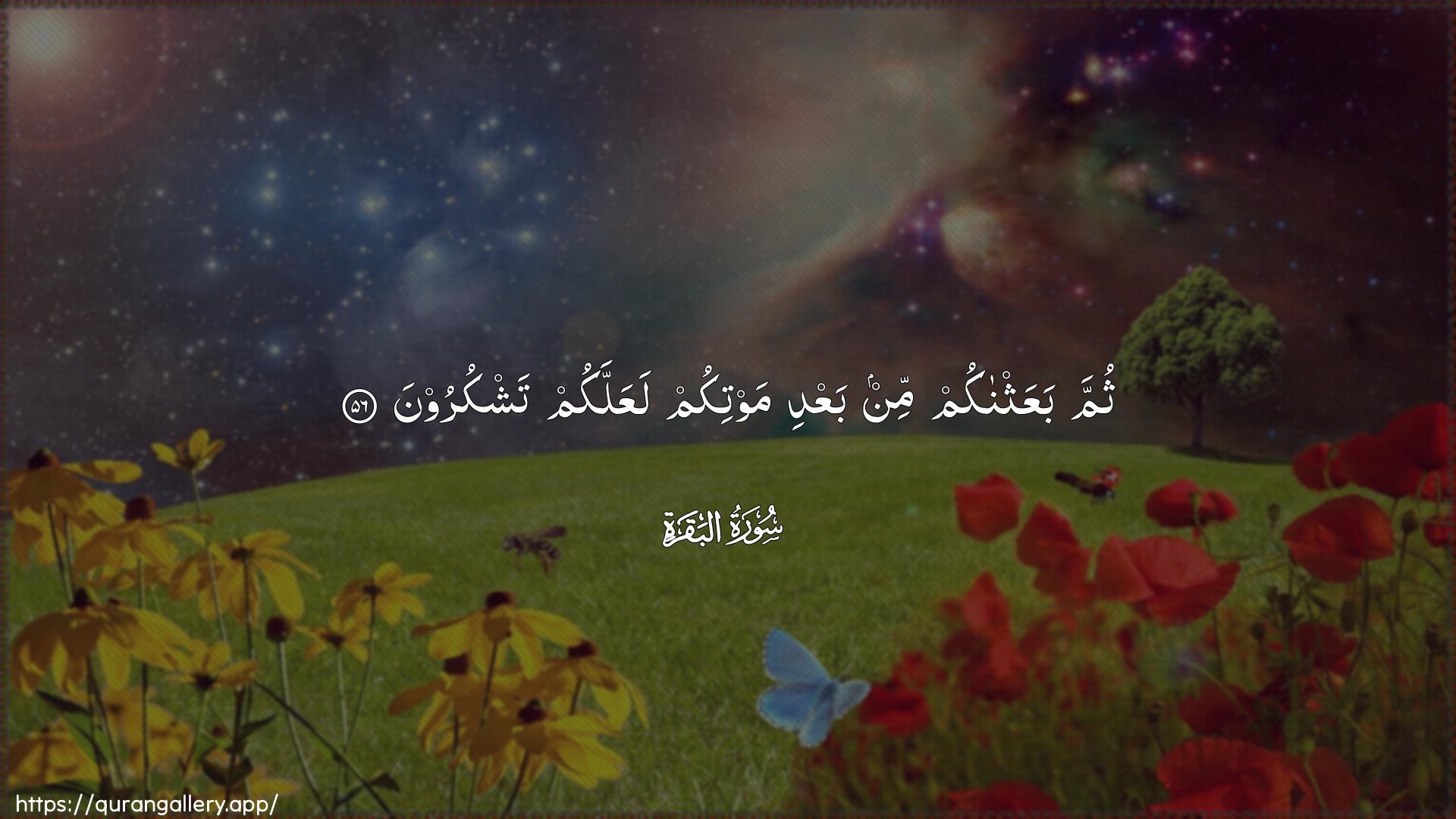 Surah Al-Baqara Ayah 56 of 2 HD Wallpaper: Download Beautiful horizontal Quran Verse Image | Thumma baAAathnakum min baAAdimawtikum laAAallakum tashkuroon