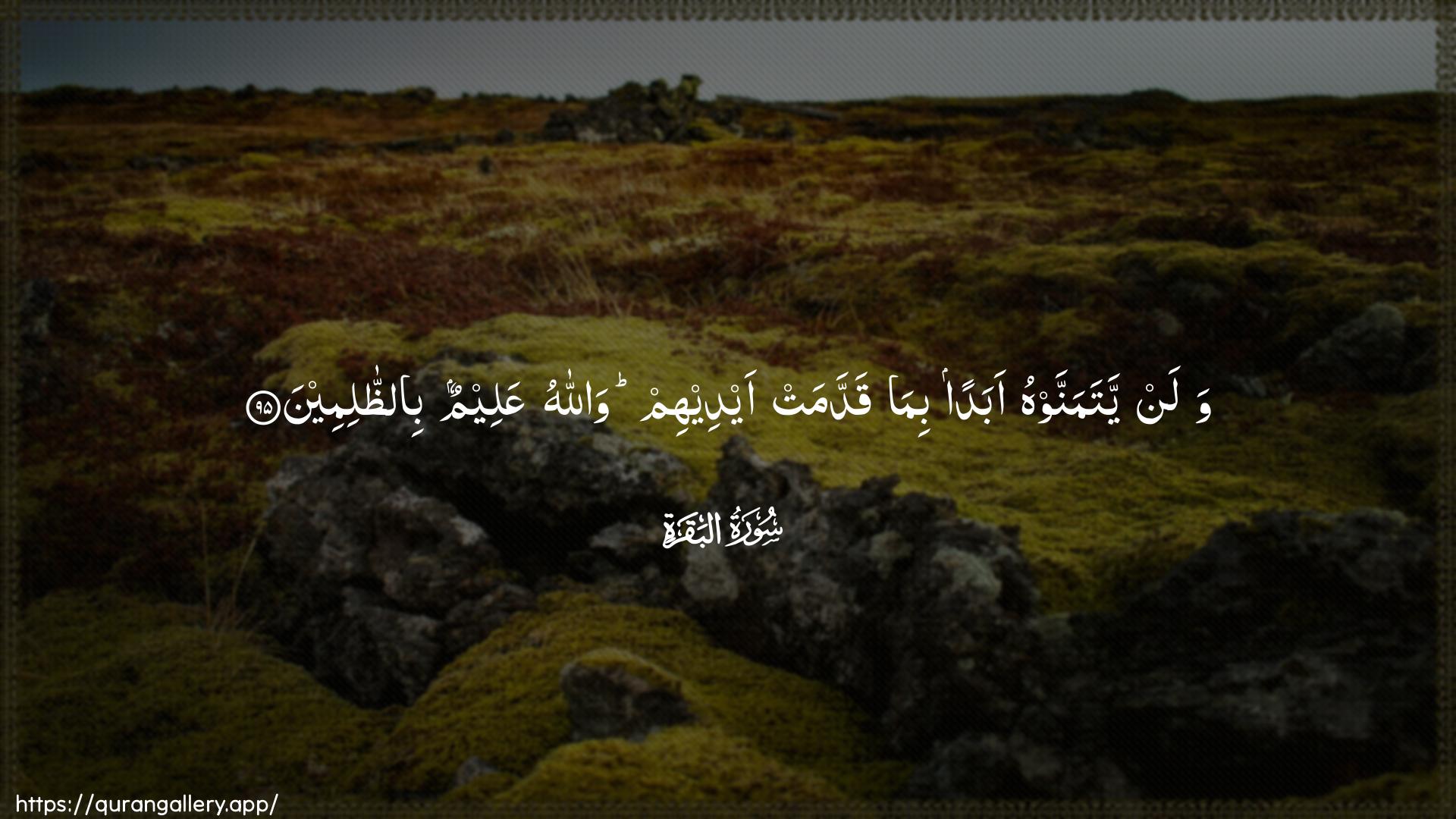 Surah Al-Baqara Ayah 95 of 2 HD Wallpaper: Download Beautiful horizontal Quran Verse Image | Walan yatamannawhu abadan bimaqaddamat aydeehim wallahu AAaleemun biaththalimeen