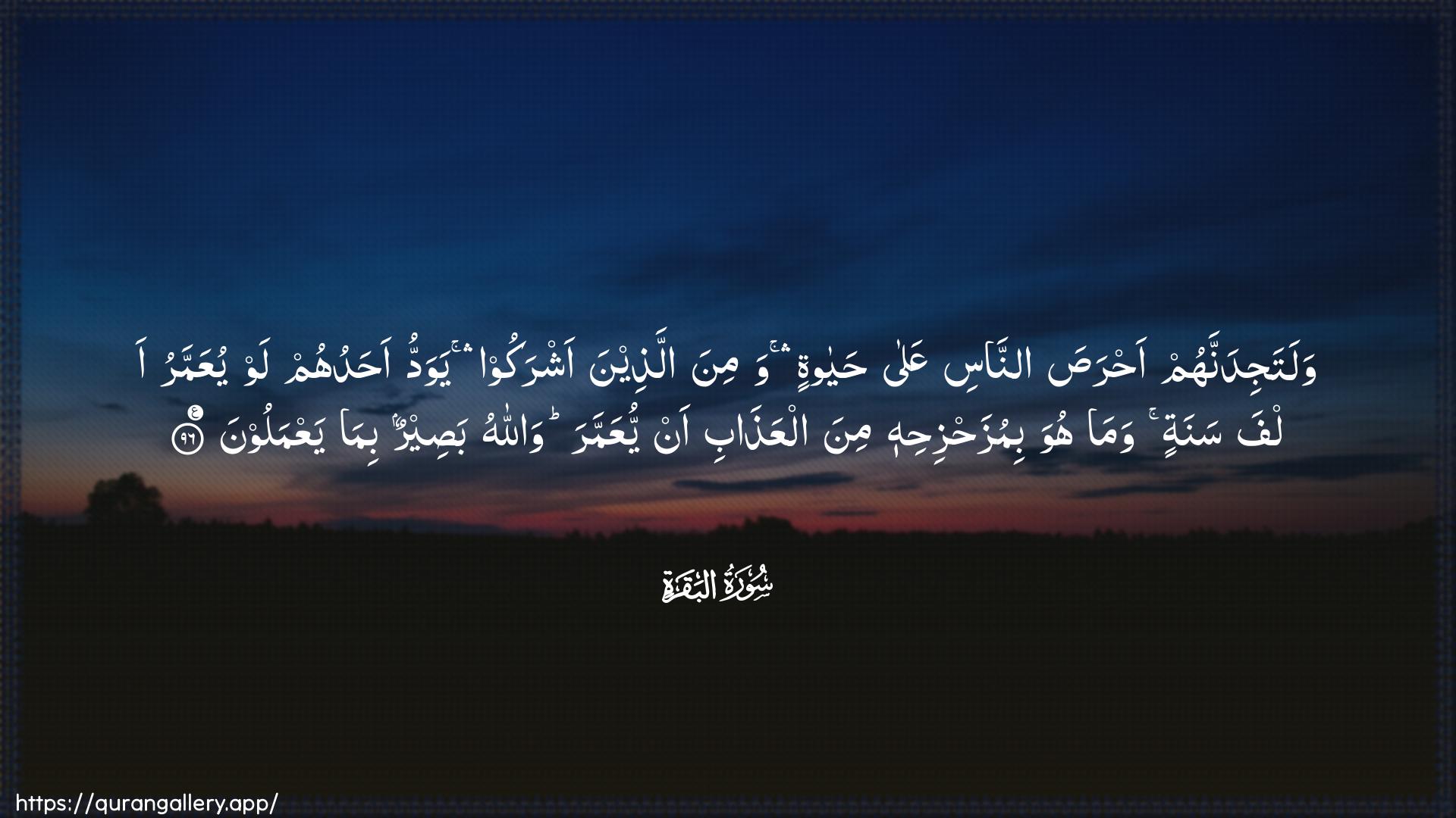 Surah Al-Baqara Ayah 96 of 2 HD Wallpaper: Download Beautiful horizontal Quran Verse Image | Walatajidannahum ahrasa annasiAAala hayatin wamina allatheenaashrakoo yawaddu ahaduhum law yuAAammaru alfa sanatin wamahuwa bimuzahzihihi mina alAAathabi anyuAAammara wallahu baseerun bimayaAAmaloon