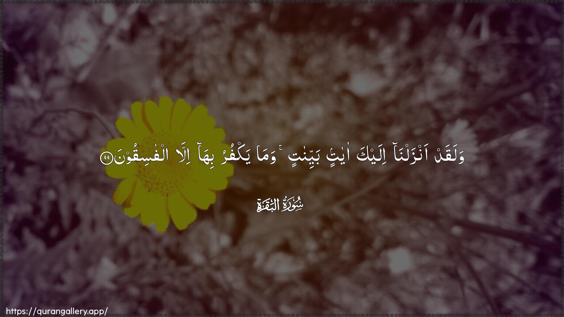 Surah Al-Baqara Ayah 99 of 2 HD Wallpaper: Download Beautiful horizontal Quran Verse Image | Walaqad anzalna ilayka ayatinbayyinatin wama yakfuru biha illa alfasiqoon