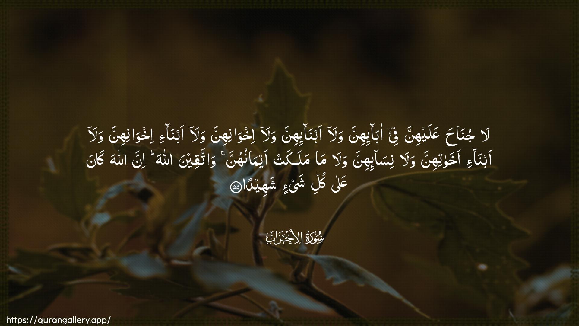 Surah Al-Ahzaab Ayah 55 of 33 HD Wallpaper: Download Beautiful horizontal Quran Verse Image | La junaha AAalayhinna fee aba-ihinnawala abna-ihinna wala ikhwanihinnawala abna-i ikhwanihinna wala abna-iakhawatihinna wala nisa-ihinna wala mamalakat aymanuhunna wattaqeena Allaha innaAllaha kana AAala kulli shay-in shaheeda