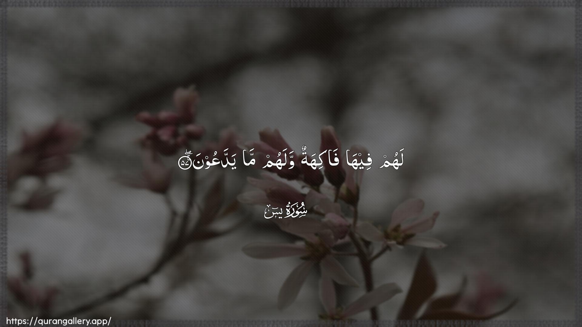 Surah Yaseen Ayah 57 of 36 HD Wallpaper: Download Beautiful horizontal Quran Verse Image | Lahum feeha fakihatun walahumma yaddaAAoon