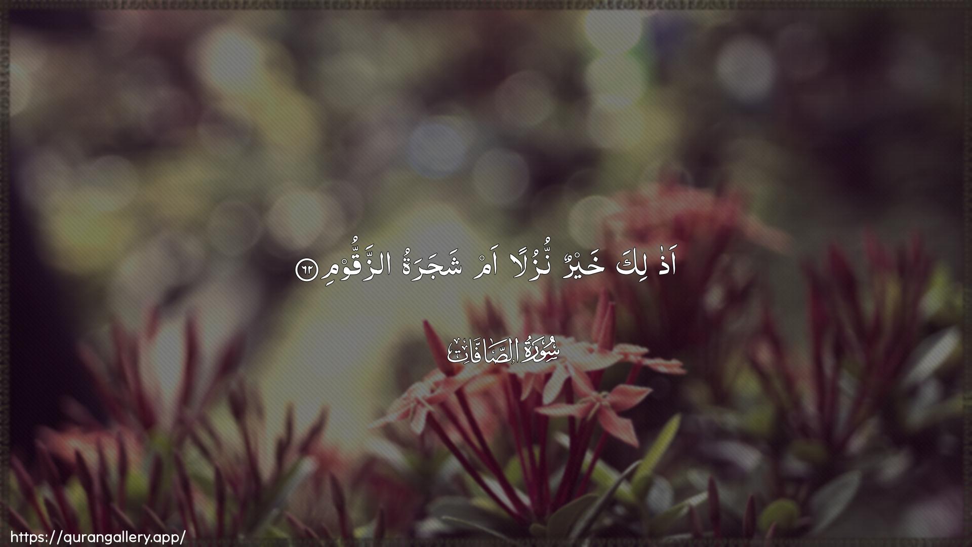 Surah As-Saaffaat Ayah 62 of 37 HD Wallpaper: Download Beautiful horizontal Quran Verse Image | Athalika khayrun nuzulan am shajaratuazzaqqoom