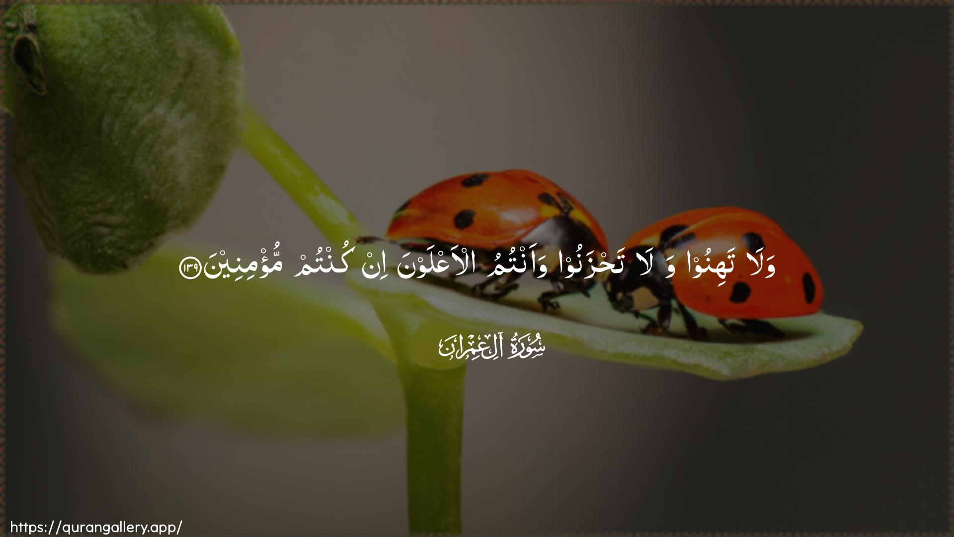 Surah Aal-i-Imraan Ayah 139 of 3 HD Wallpaper: Download Beautiful horizontal Quran Verse Image | Wala tahinoo wala tahzanoowaantumu al-aAAlawna in kuntum mu/mineen