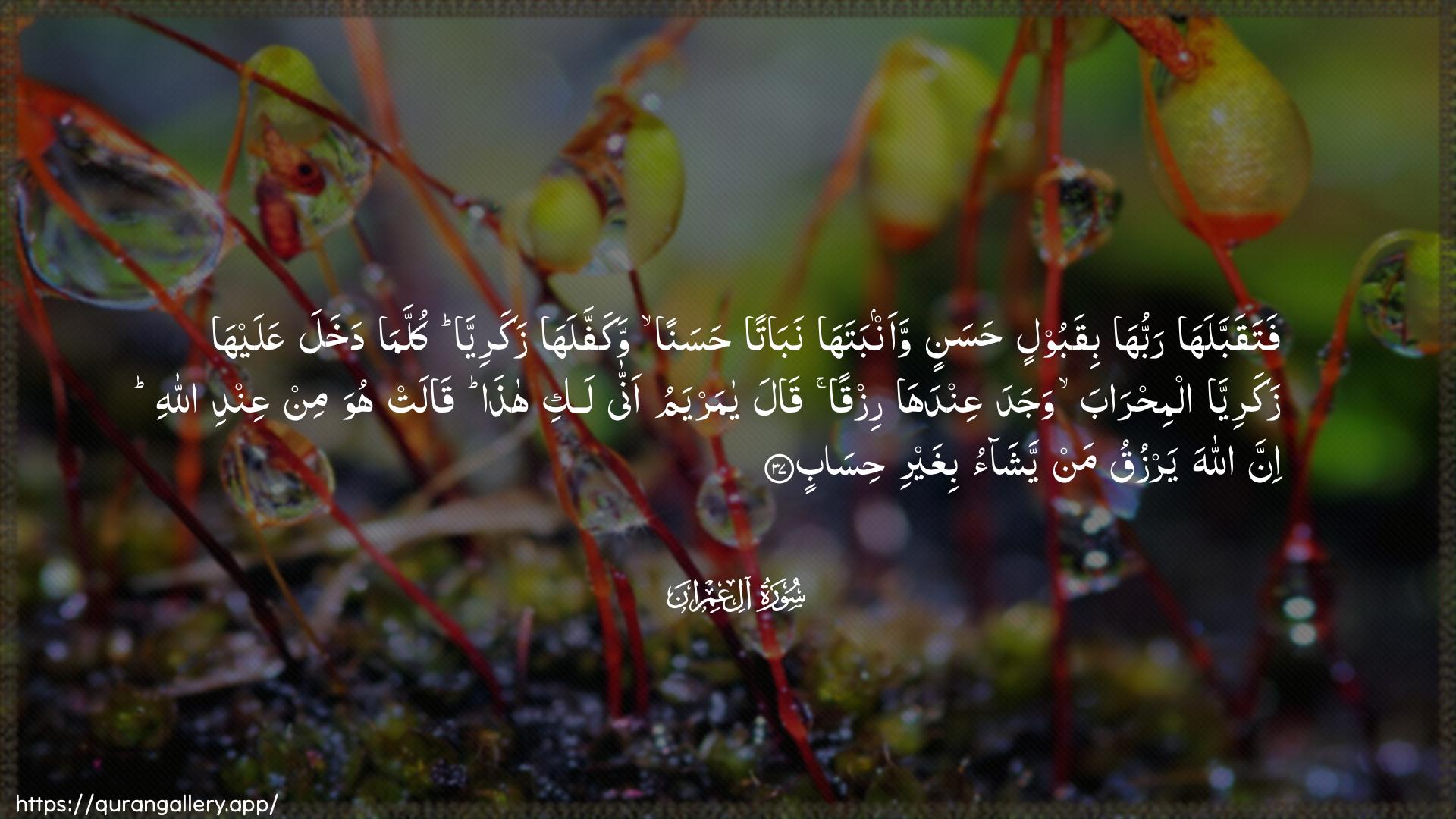 Surah Aal-i-Imraan Ayah 37 of 3 HD Wallpaper: Download Beautiful horizontal Quran Verse Image | Fataqabbalaha rabbuhabiqaboolin hasanin waanbataha nabatan hasananwakaffalaha zakariyya kullama dakhalaAAalayha zakariyya almihraba wajadaAAindaha rizqan qala ya maryamu annalaki hatha qalat huwa min AAindi Allahi innaAllaha yarzuqu man yashao bighayri hisab