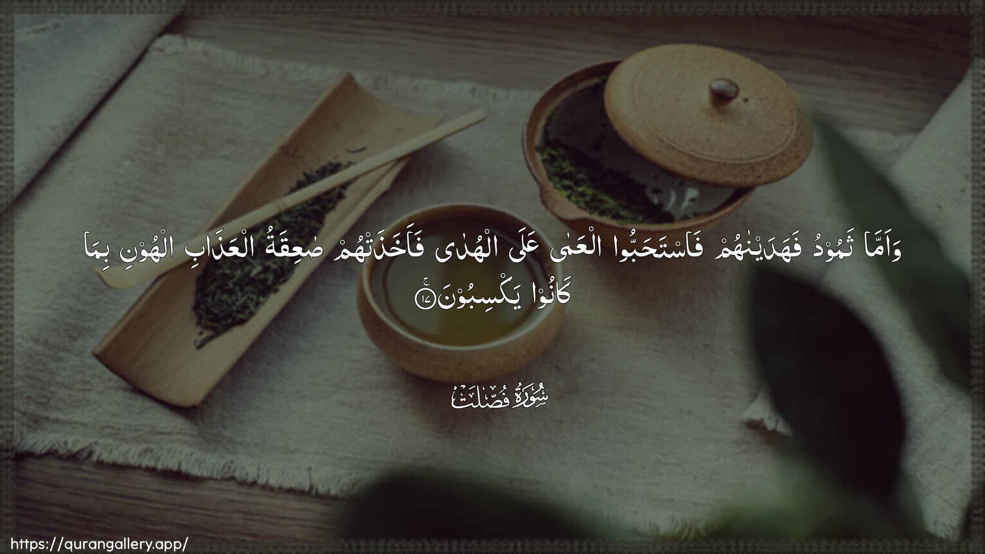 Surah Fussilat Ayah 17 of 41 HD Wallpaper: Download Beautiful horizontal Quran Verse Image | Waamma thamoodu fahadaynahumfastahabboo alAAama AAala alhudafaakhathat-hum saAAiqatu alAAathabi alhoonibima kanoo yaksiboon