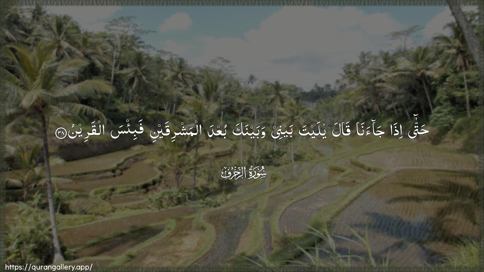 Surah Az-Zukhruf Ayah 38 of 43 HD Wallpaper: Download Beautiful horizontal Quran Verse Image | Hatta itha jaanaqala ya layta baynee wabaynaka buAAda almashriqaynifabi/sa alqareen