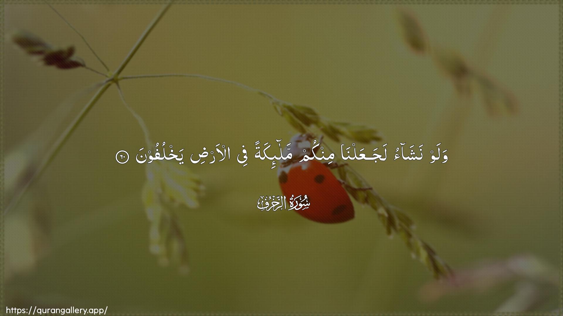 Surah Az-Zukhruf Ayah 60 of 43 HD Wallpaper: Download Beautiful horizontal Quran Verse Image | Walaw nashao lajaAAalna minkummala-ikatan fee al-ardi yakhlufoon