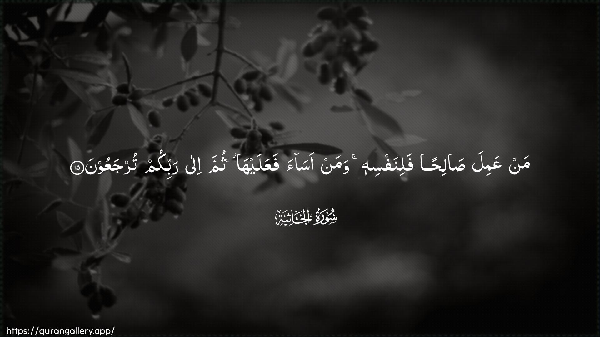 Surah Al-Jaathiya Ayah 15 of 45 HD Wallpaper: Download Beautiful horizontal Quran Verse Image | Man AAamila salihanfalinafsihi waman asaa faAAalayha thumma ilarabbikum turjaAAoon