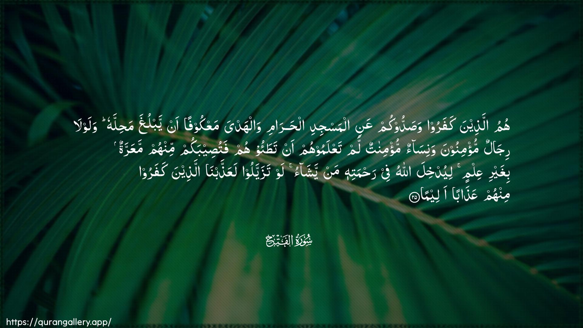 Surah Al-Fath Ayah 25 of 48 HD Wallpaper: Download Beautiful horizontal Quran Verse Image | Humu allatheena kafaroo wasaddookumAAani almasjidi alharami walhadyamaAAkoofan an yablugha mahillahu walawla rijalunmu/minoona wanisaon mu/minatun lam taAAlamoohum antataoohum fatuseebakum minhum maAAarratun bighayriAAilmin liyudkhila Allahu fee rahmatihi man yashaolaw tazayyaloo laAAaththabna allatheenakafaroo minhum AAathaban aleema