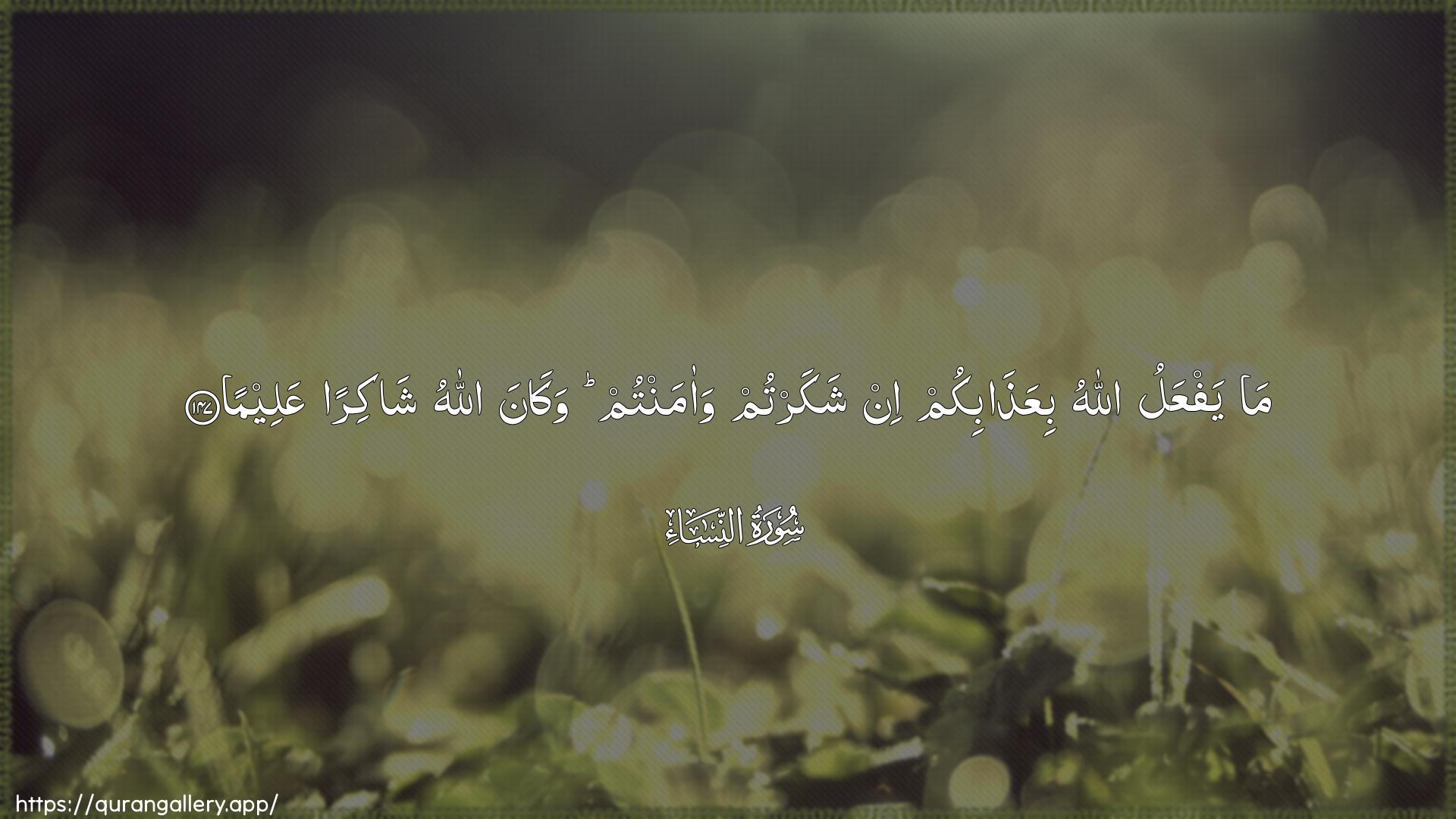 Surah An-Nisaa Ayah 147 of 4 HD Wallpaper: Download Beautiful horizontal Quran Verse Image | Ma yafAAalu Allahu biAAathabikumin shakartum waamantum wakana Allahu shakiranAAaleema