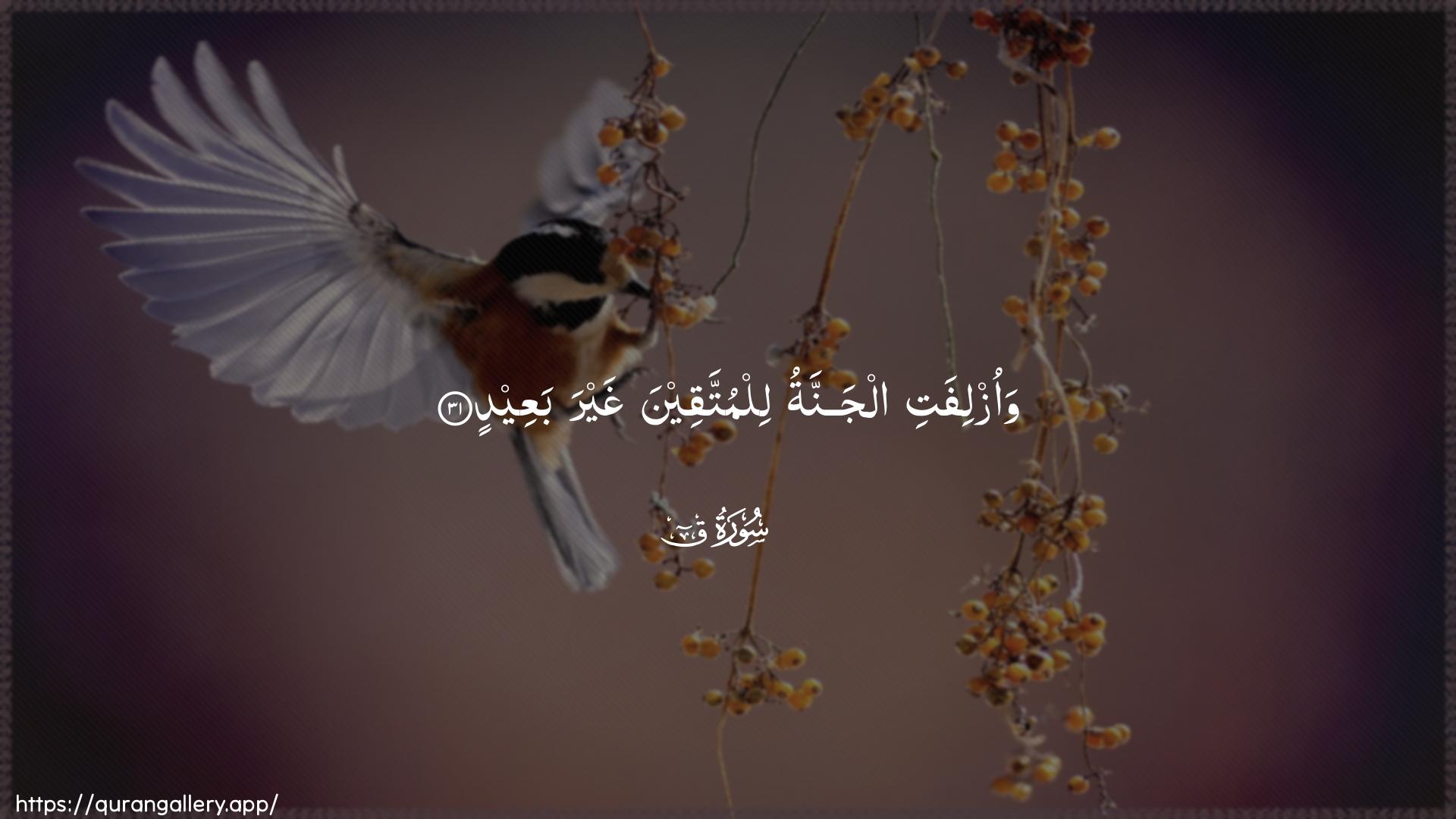 Surah Qaaf Ayah 31 of 50 HD Wallpaper: Download Beautiful horizontal Quran Verse Image | Waozlifati aljannatu lilmuttaqeena ghayrabaAAeed