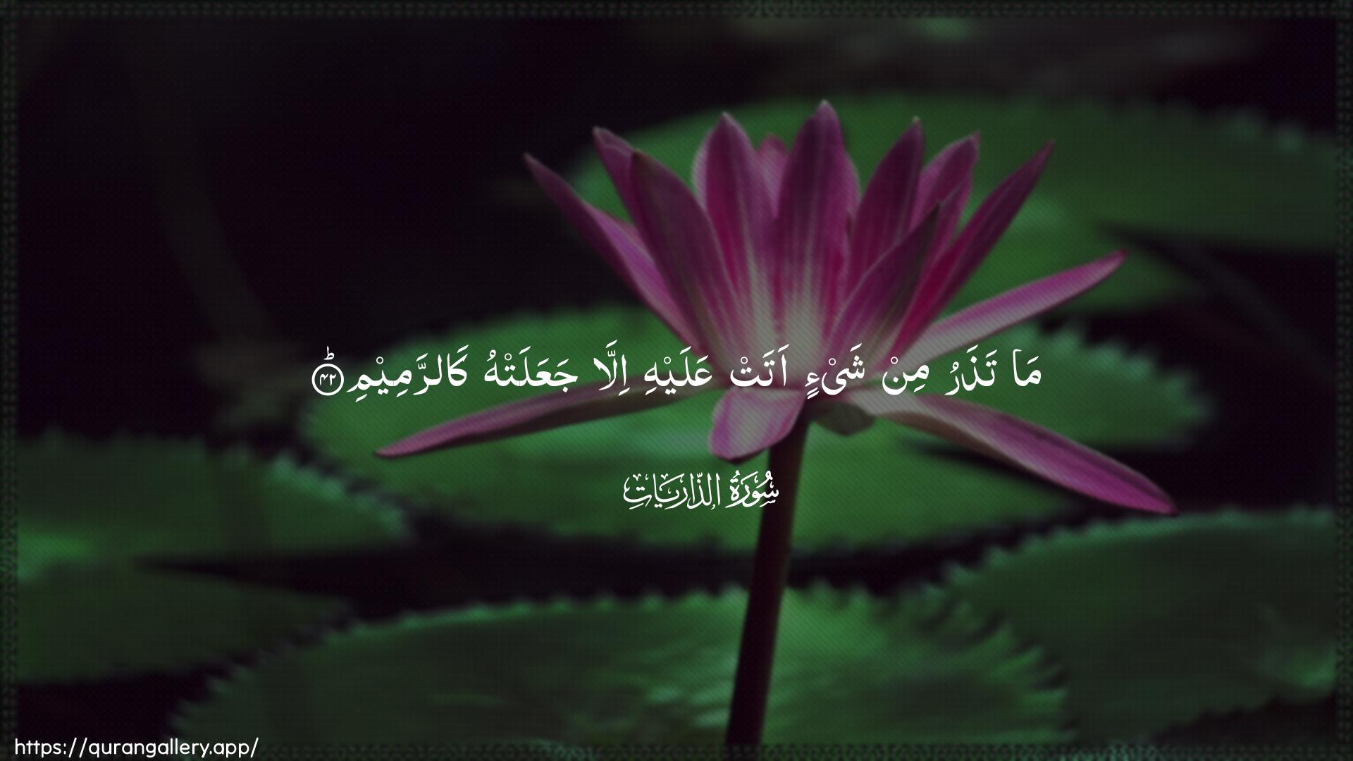 Surah Adh-Dhaariyat Ayah 42 of 51 HD Wallpaper: Download Beautiful horizontal Quran Verse Image | Ma tatharu min shay-in atatAAalayhi illa jaAAalat-hu karrameem