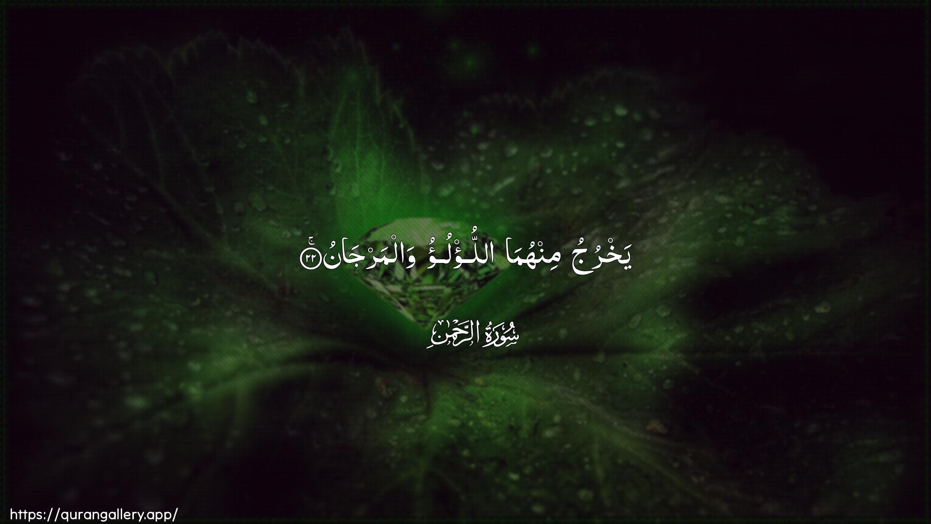 Surah Ar-Rahmaan Ayah 22 of 55 HD Wallpaper: Download Beautiful horizontal Quran Verse Image | Yakhruju minhuma allu/luo walmarjan