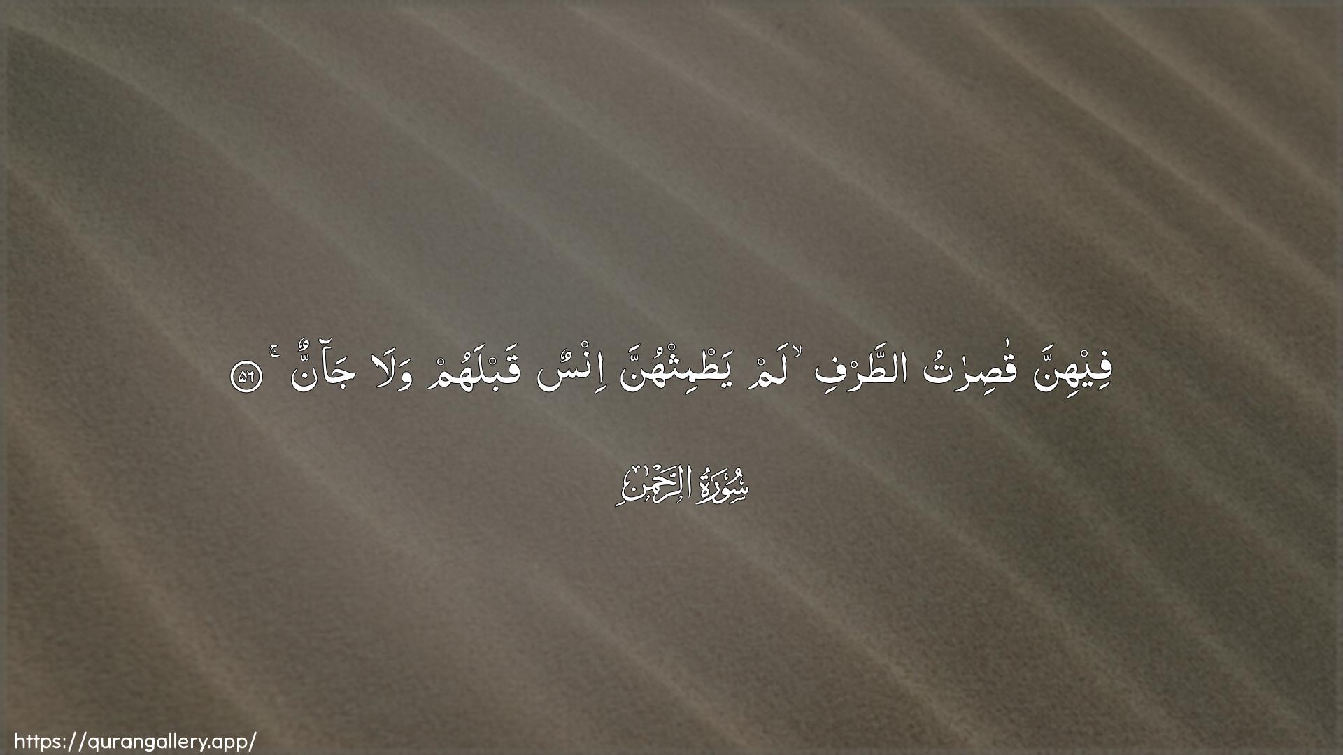 Surah Ar-Rahmaan Ayah 56 of 55 HD Wallpaper: Download Beautiful horizontal Quran Verse Image | Feehinna qasiratu attarfilam yatmithhunna insun qablahum wala jan