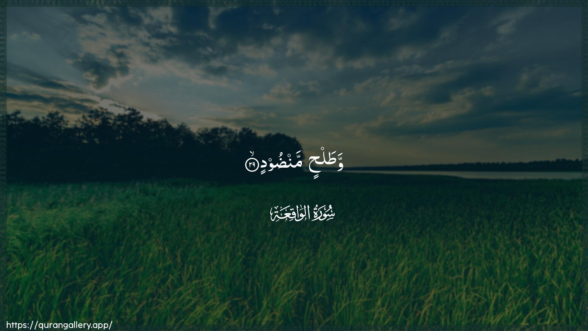 Surah Al-Waaqia Ayah 29 of 56 HD Wallpaper: Download Beautiful horizontal Quran Verse Image | Watalhin mandood