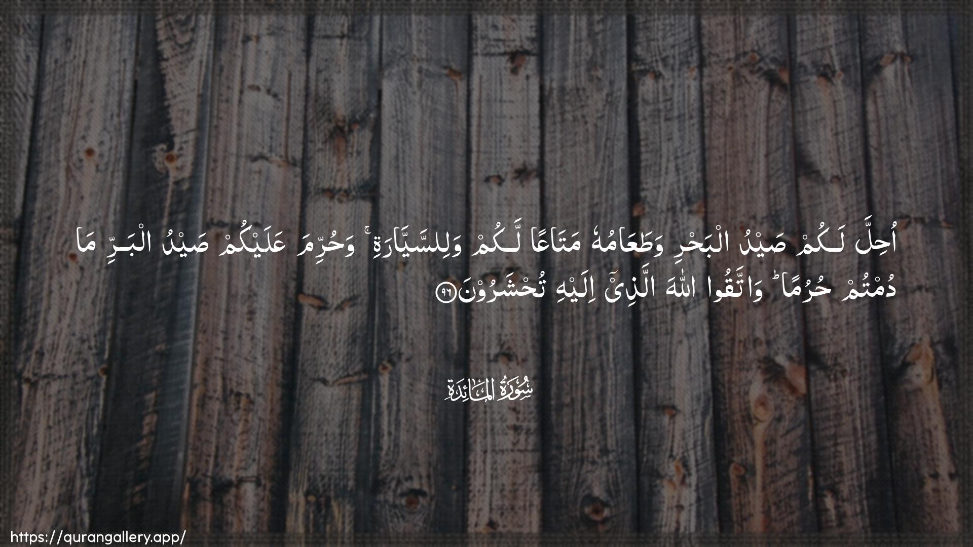 Surah Al-Maaida Ayah 96 of 5 HD Wallpaper: Download Beautiful horizontal Quran Verse Image | Ohilla lakum saydu albahriwataAAamuhu mataAAan lakum walissayyaratiwahurrima AAalaykum saydu albarri ma dumtum hurumanwattaqoo Allaha allathee ilayhi tuhsharoon