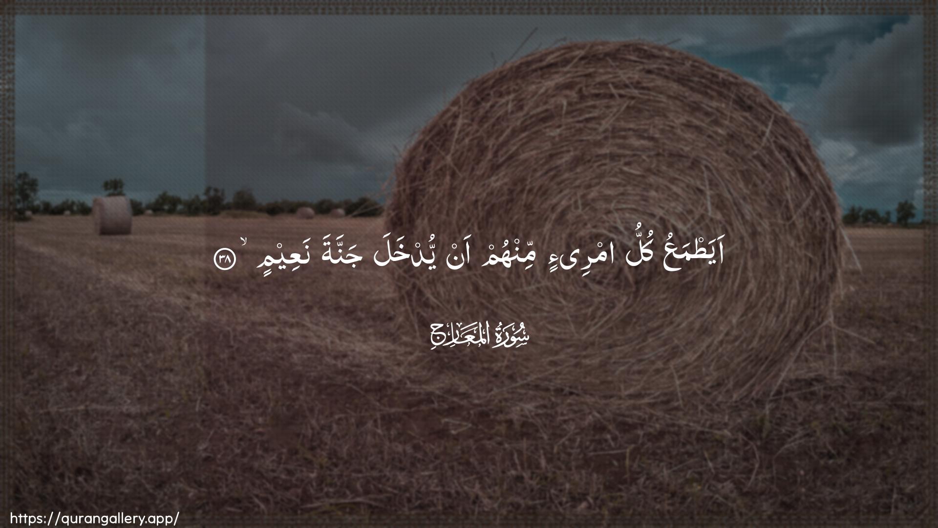 Surah Al-Ma"aarij Ayah 38 of 70 HD Wallpaper: Download Beautiful horizontal Quran Verse Image | AyatmaAAu kullu imri-in minhum anyudkhala jannata naAAeem