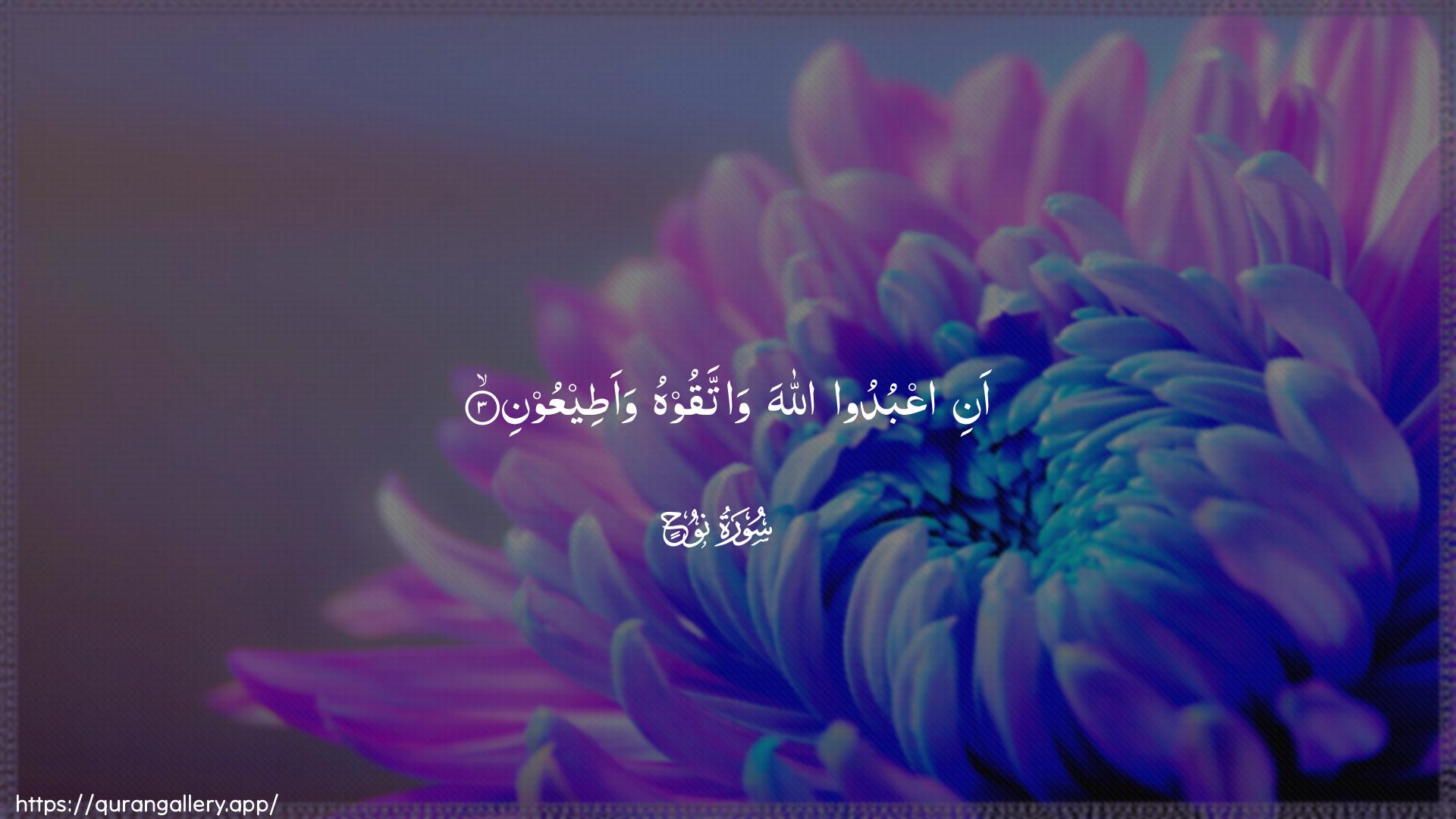 Surah Nooh Ayah 3 of 71 HD Wallpaper: Download Beautiful horizontal Quran Verse Image | Ani oAAbudoo Allaha wattaqoohuwaateeAAoon