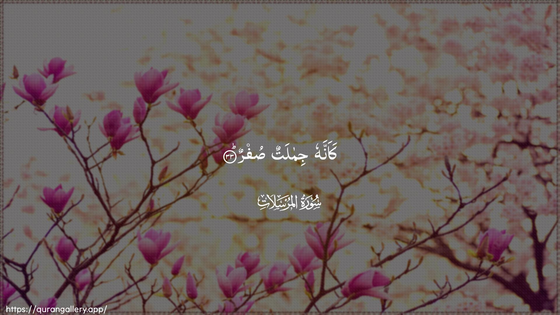 Surah Al-Mursalaat Ayah 33 of 77 HD Wallpaper: Download Beautiful horizontal Quran Verse Image | Kaannahu jimalatun sufr